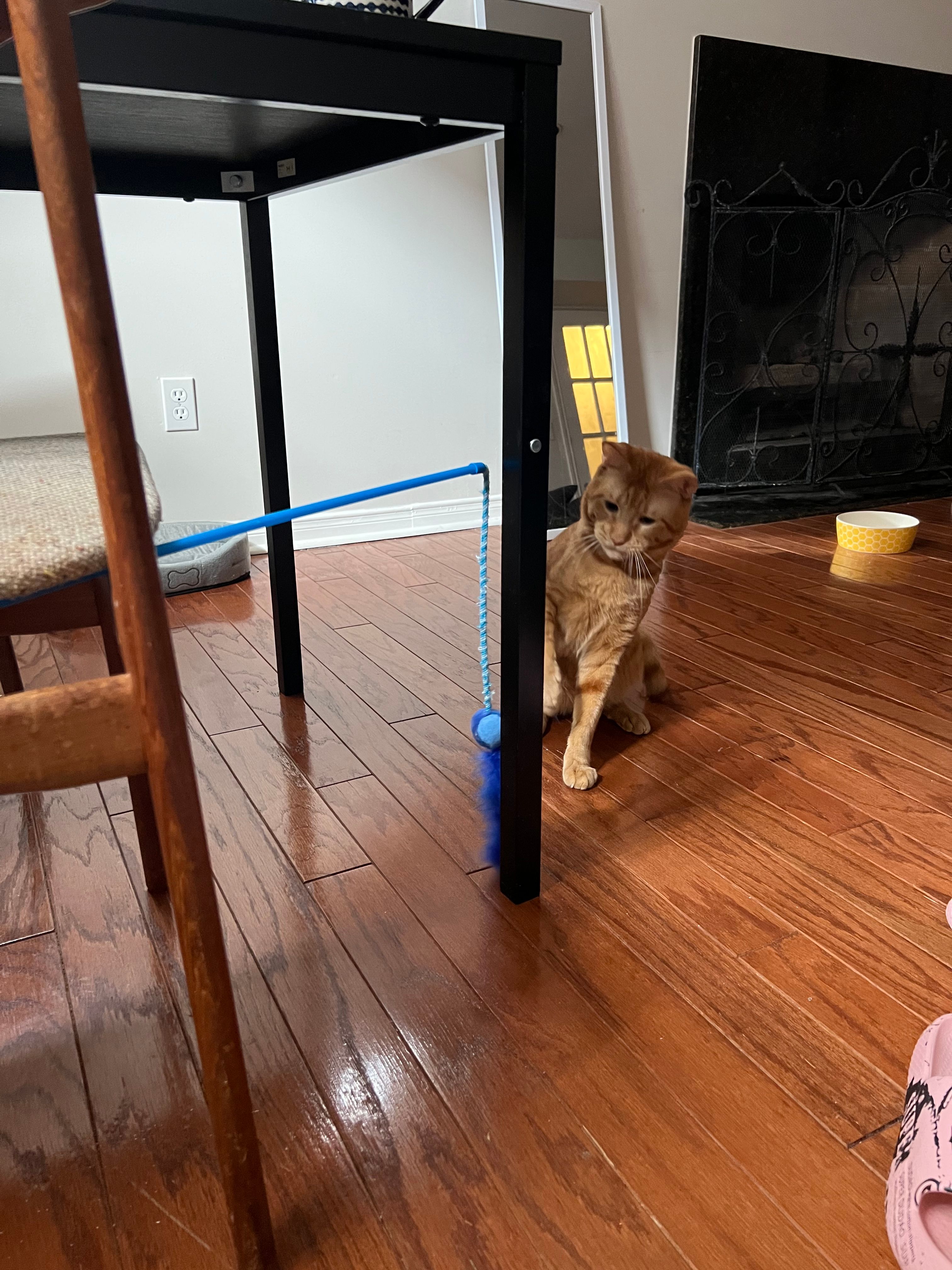 image-17