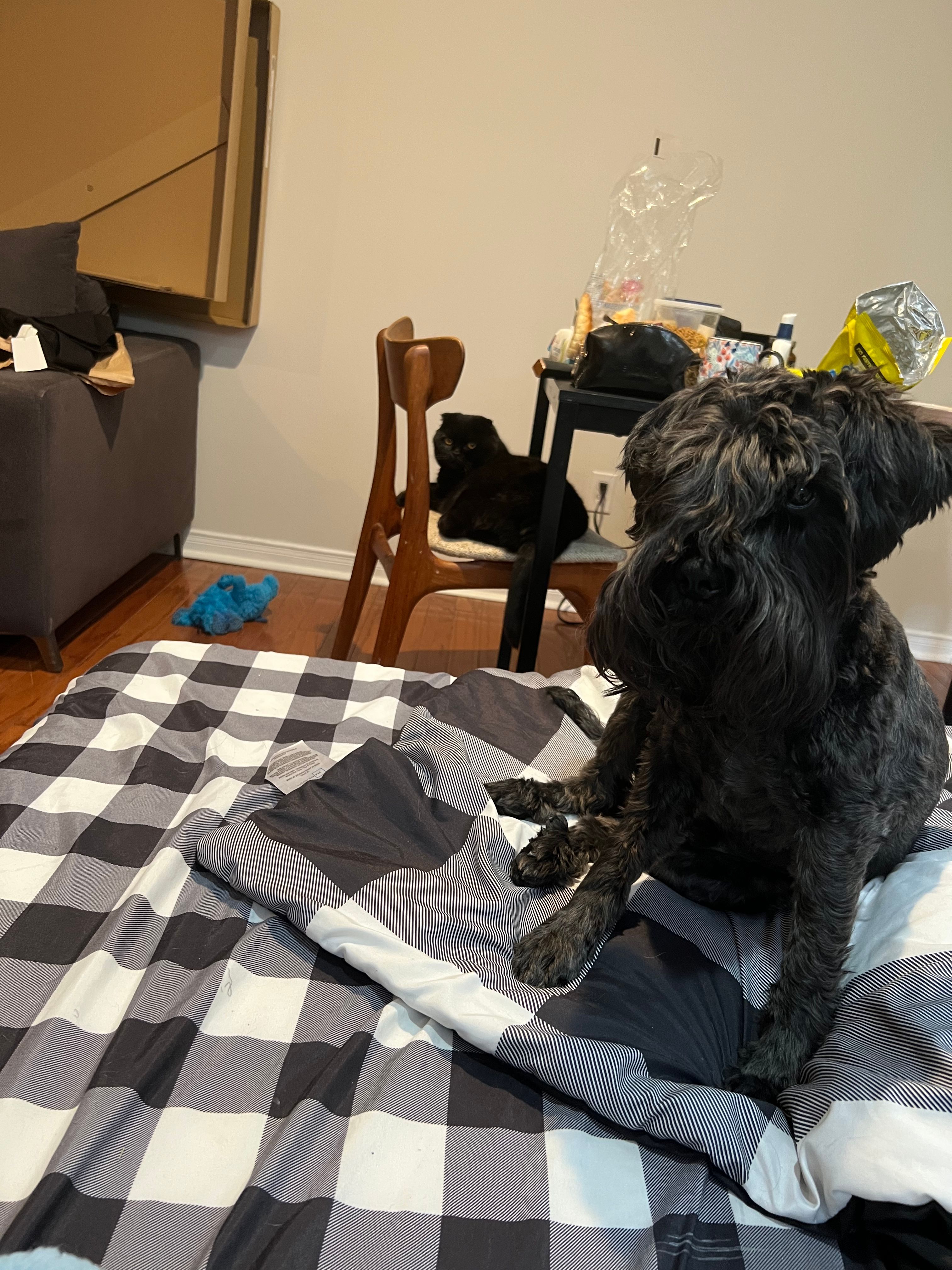 image-16