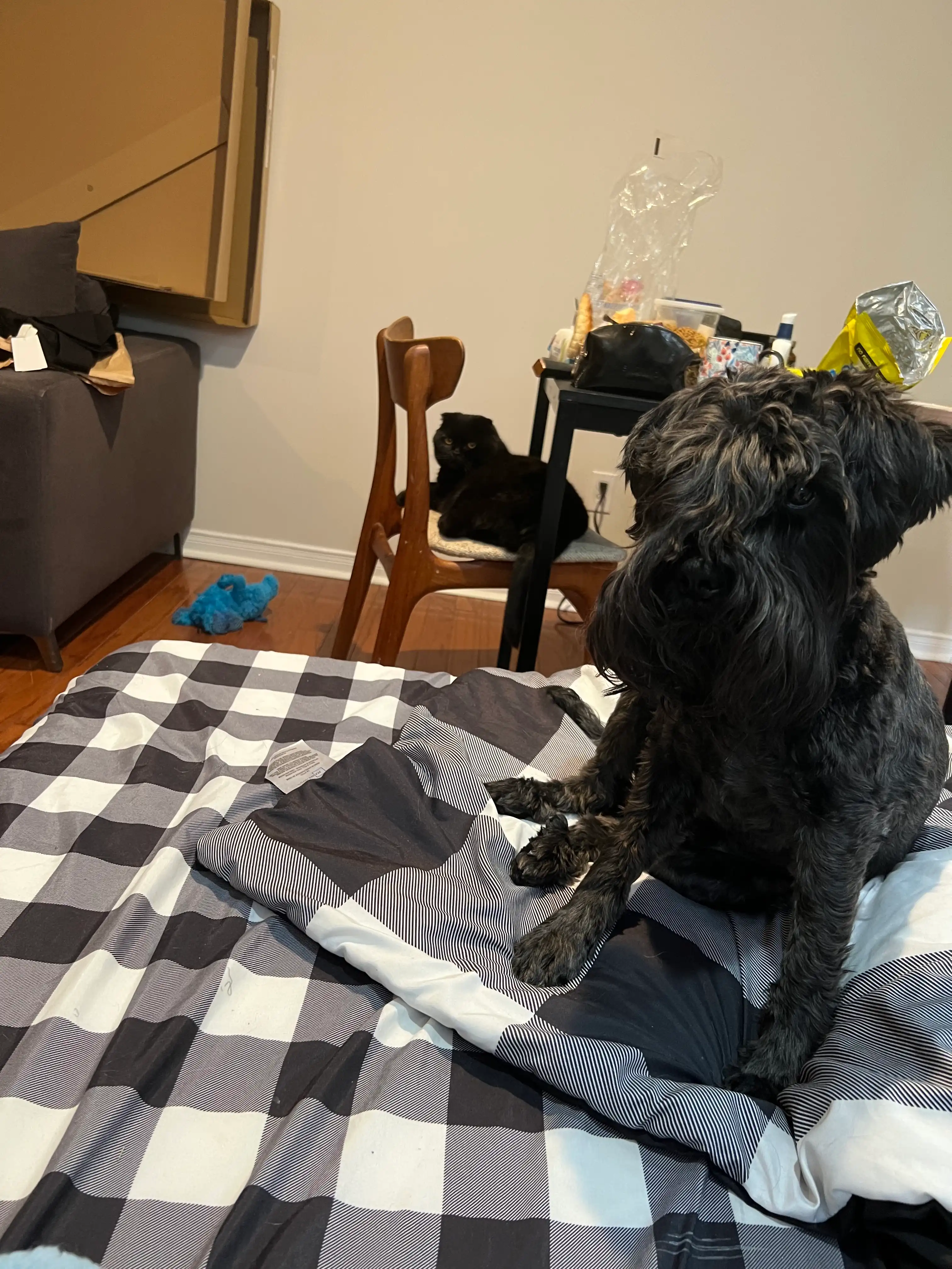 image-16