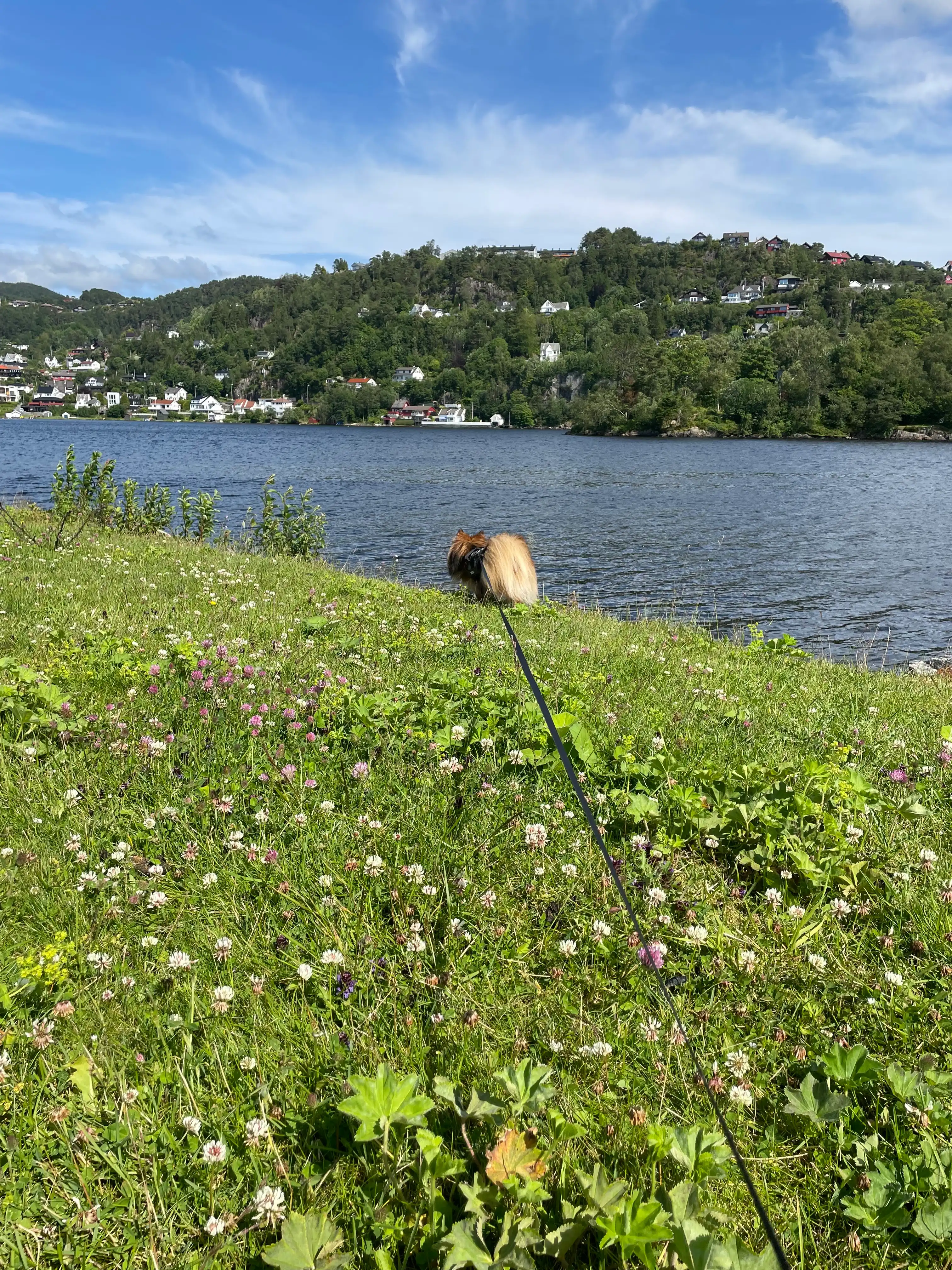 image-9