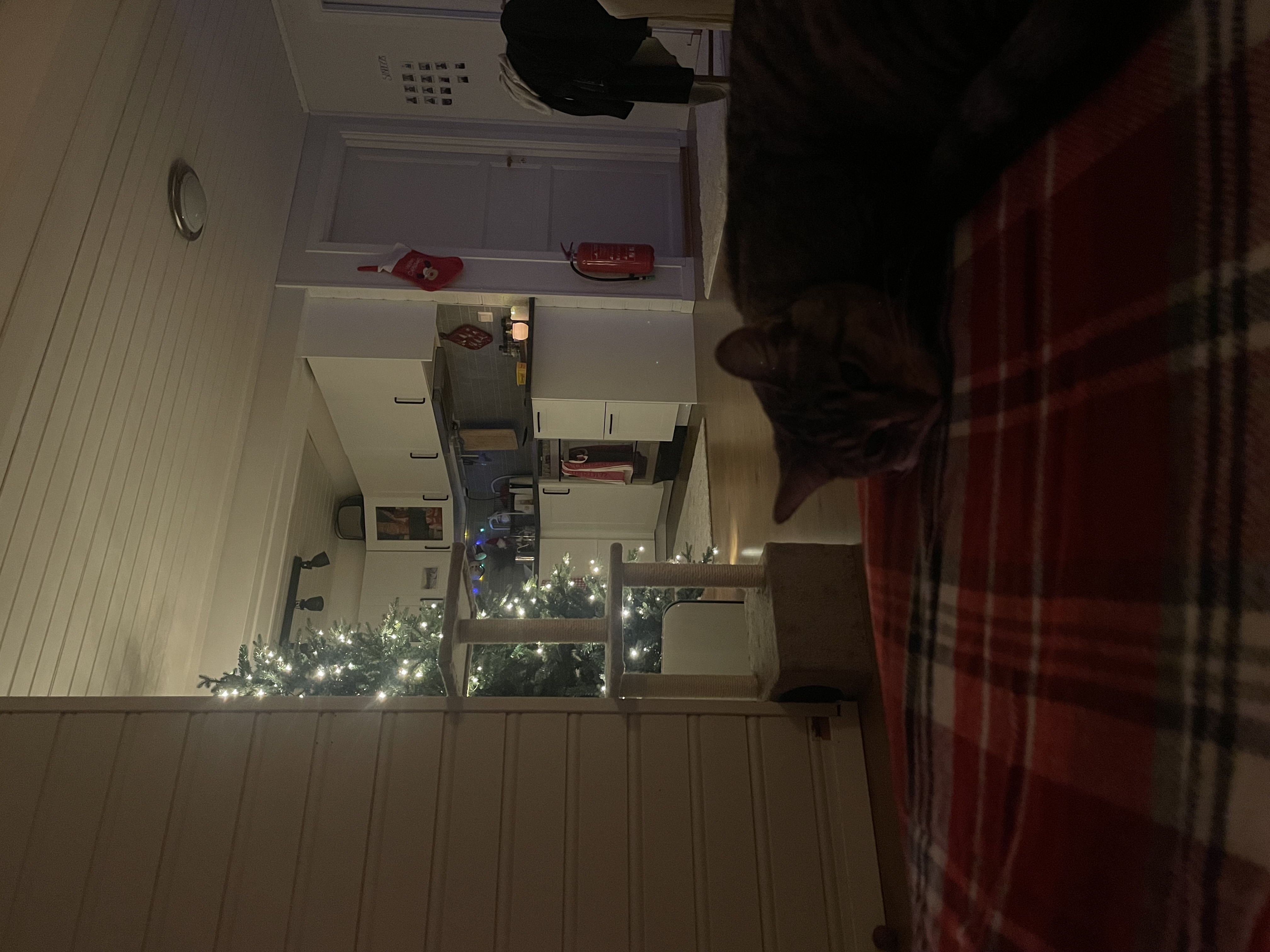 image-16