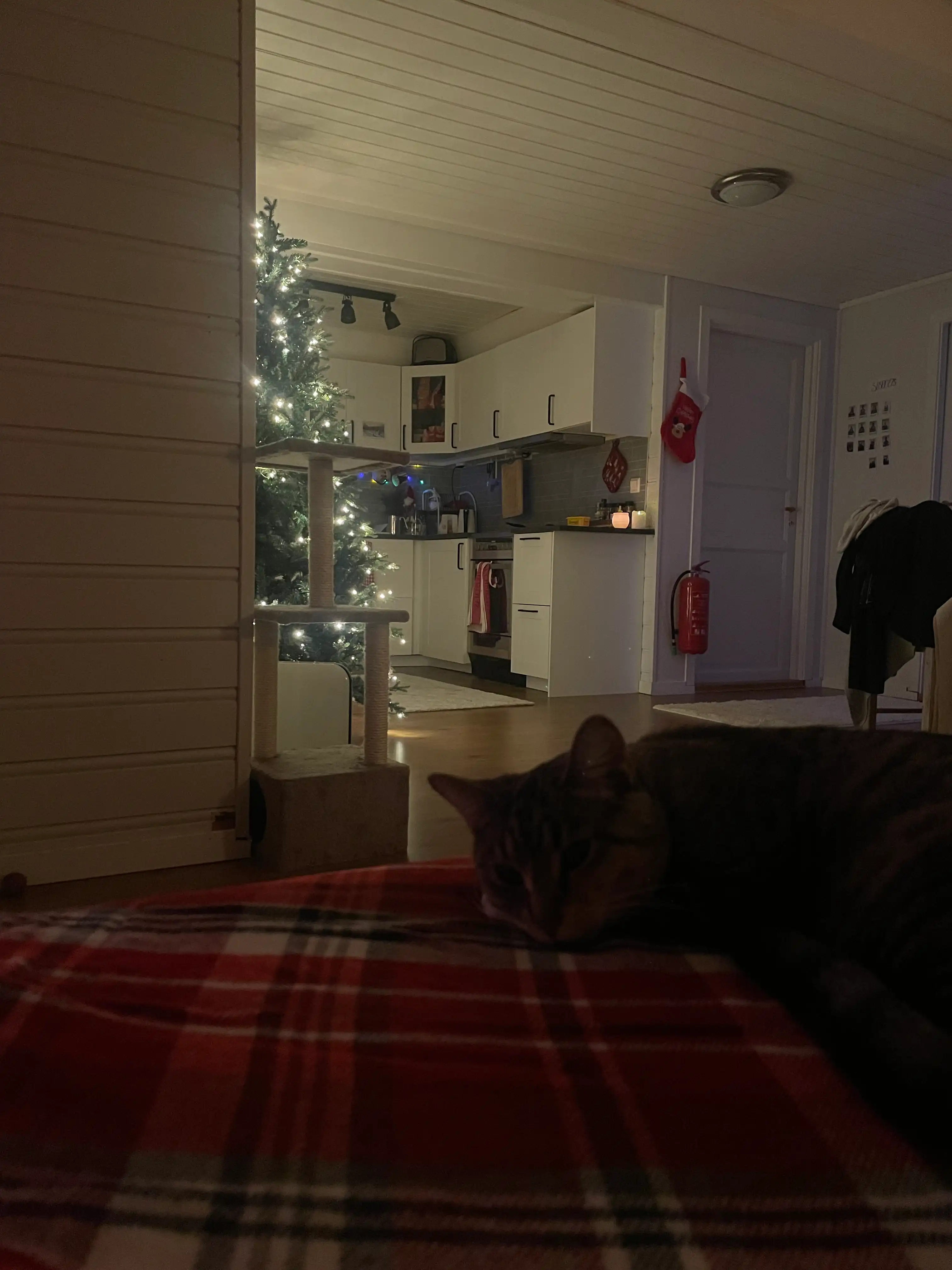 image-16