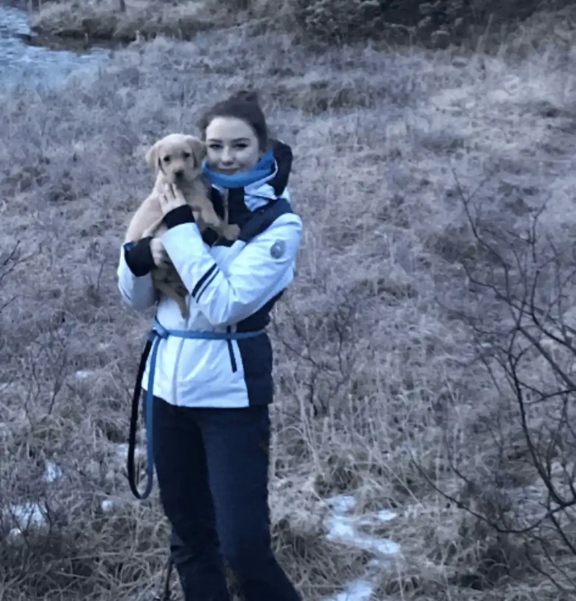 image-7