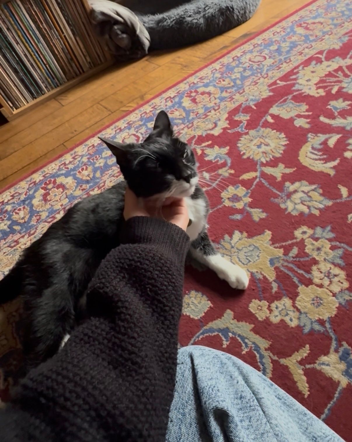 image-6
