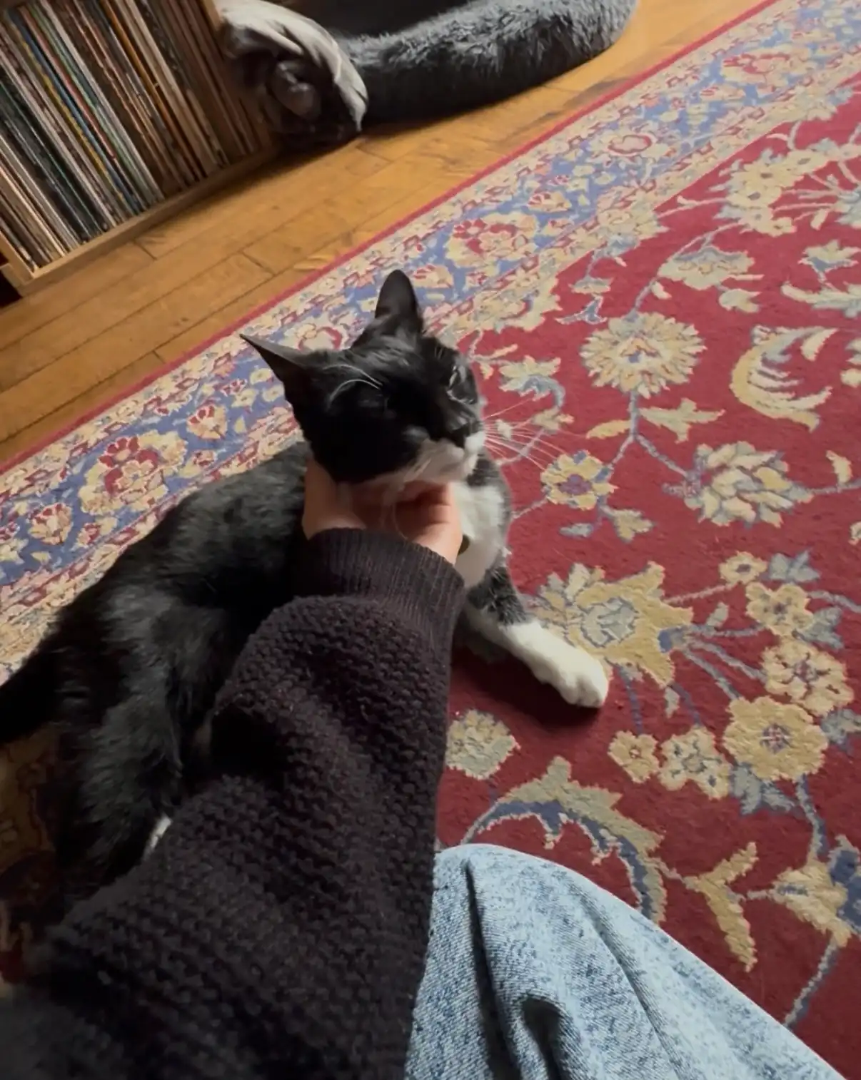 image-6