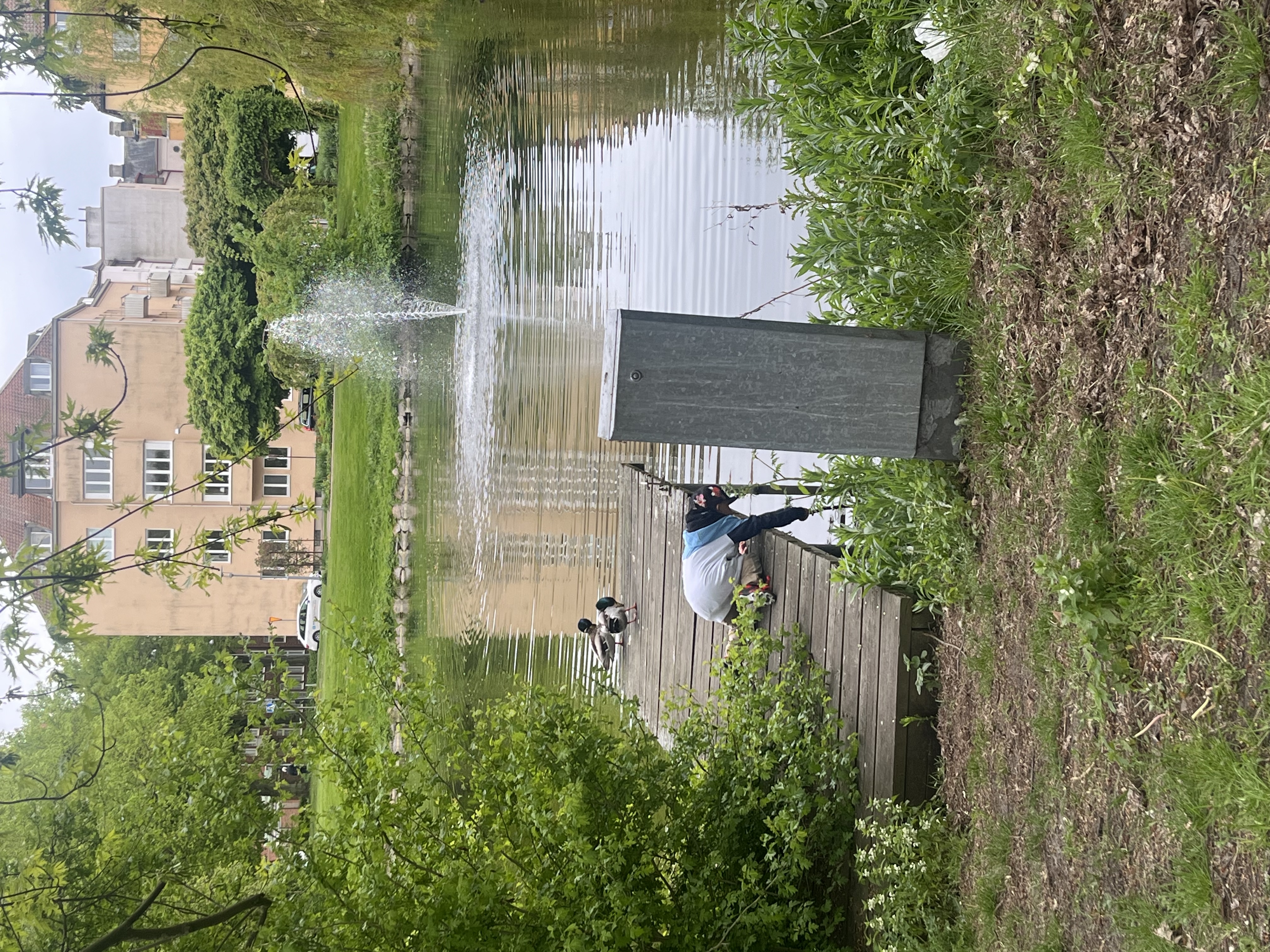 image-16