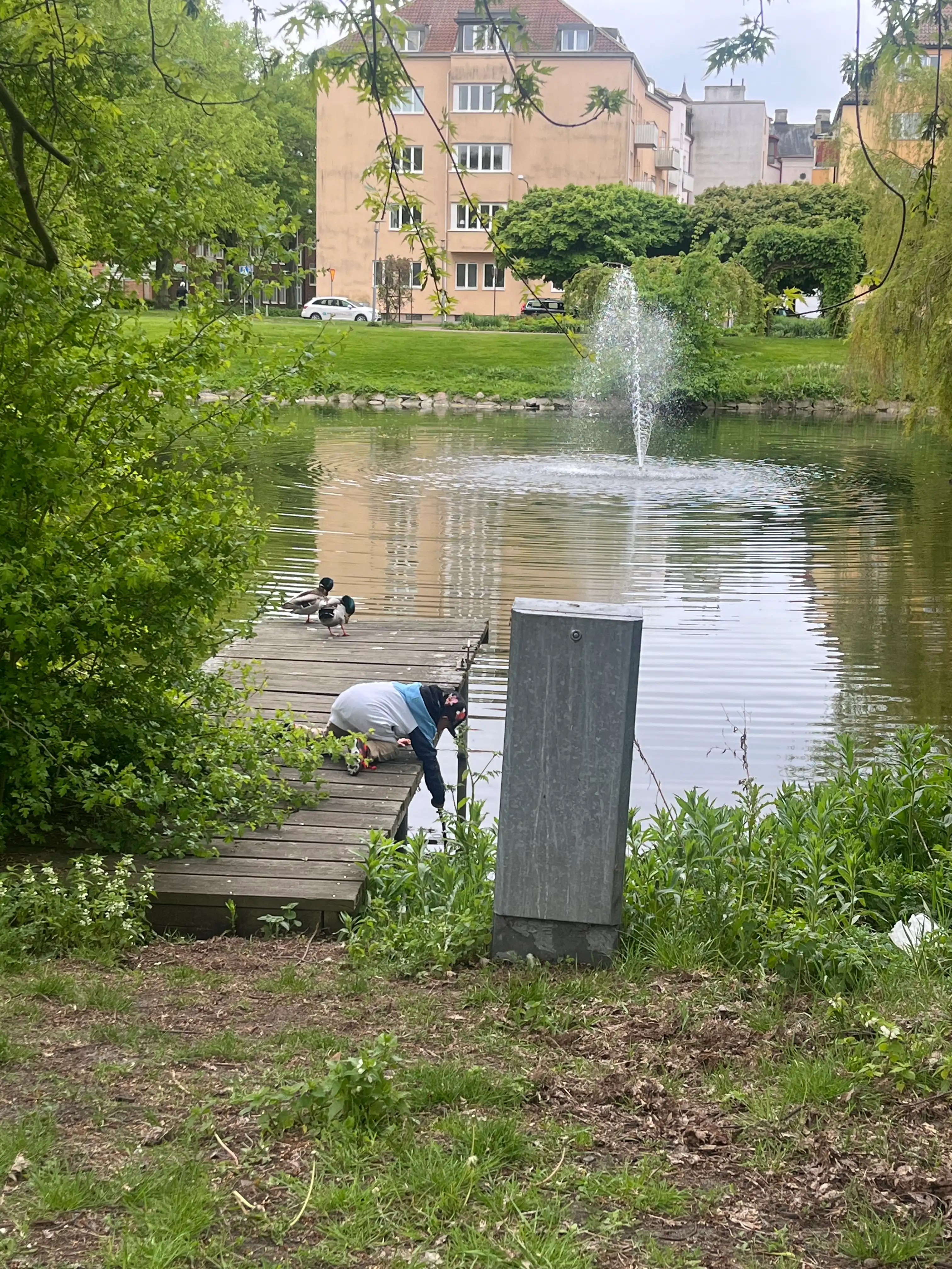 image-16