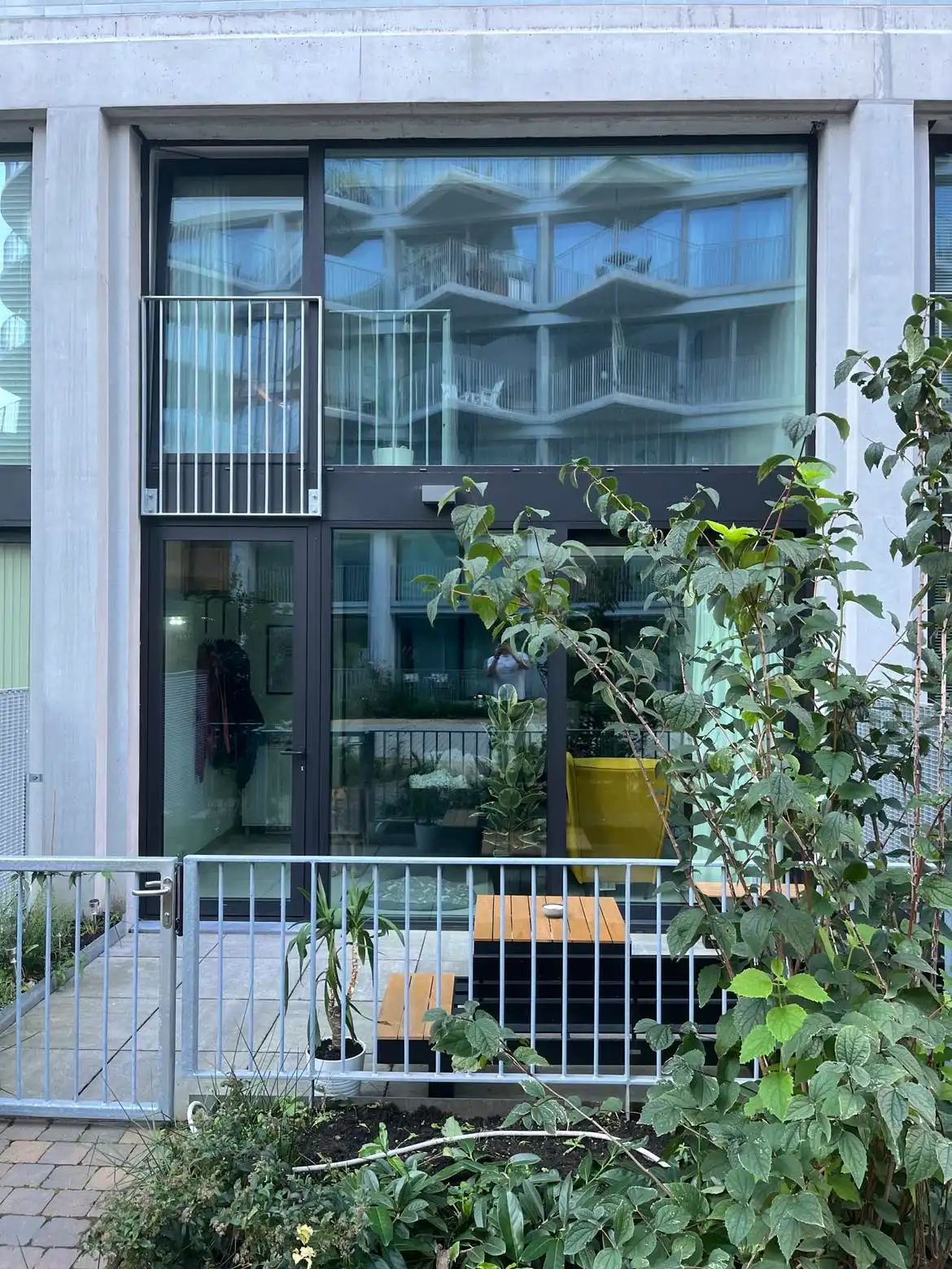 image-12