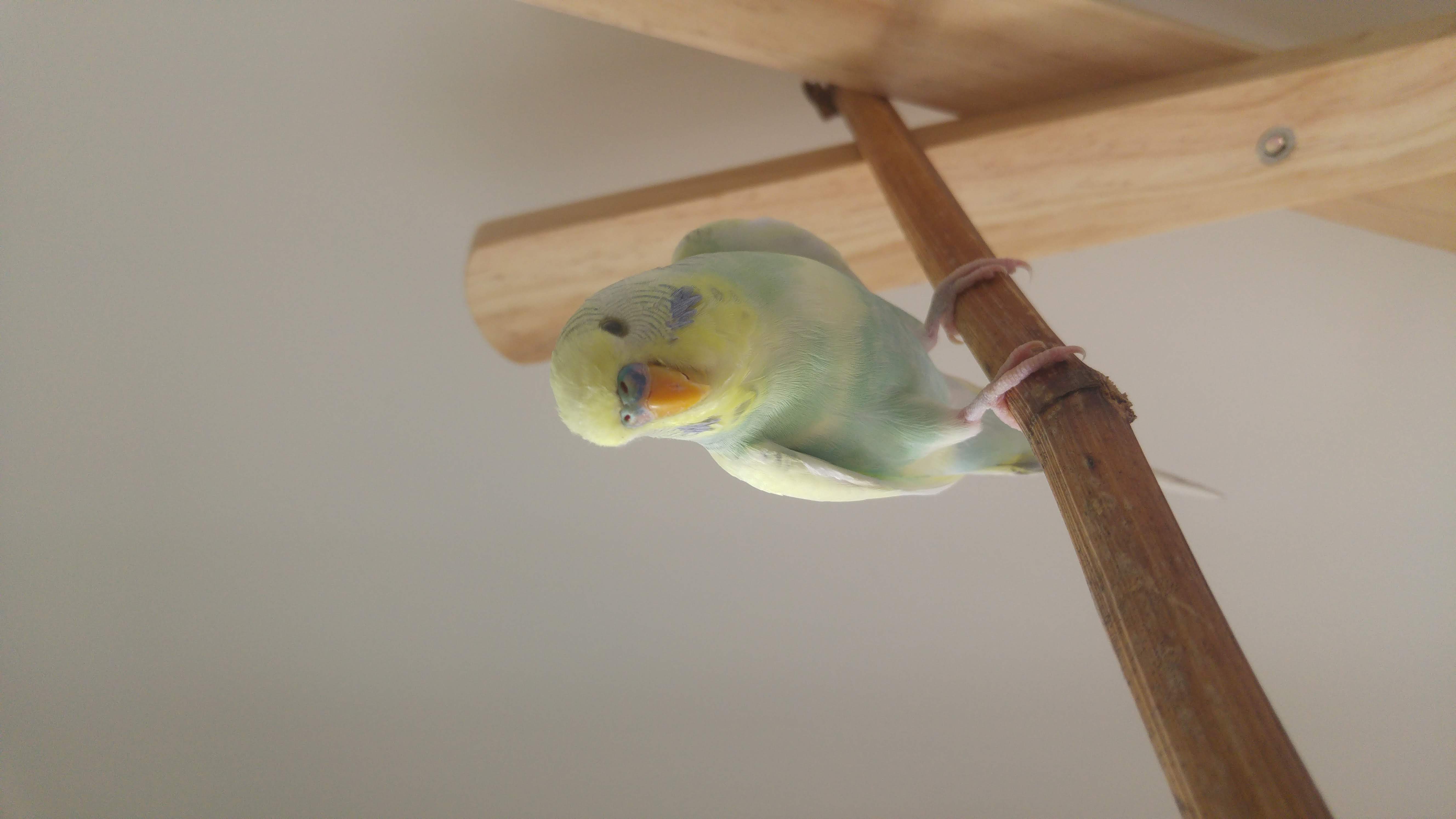 image-10