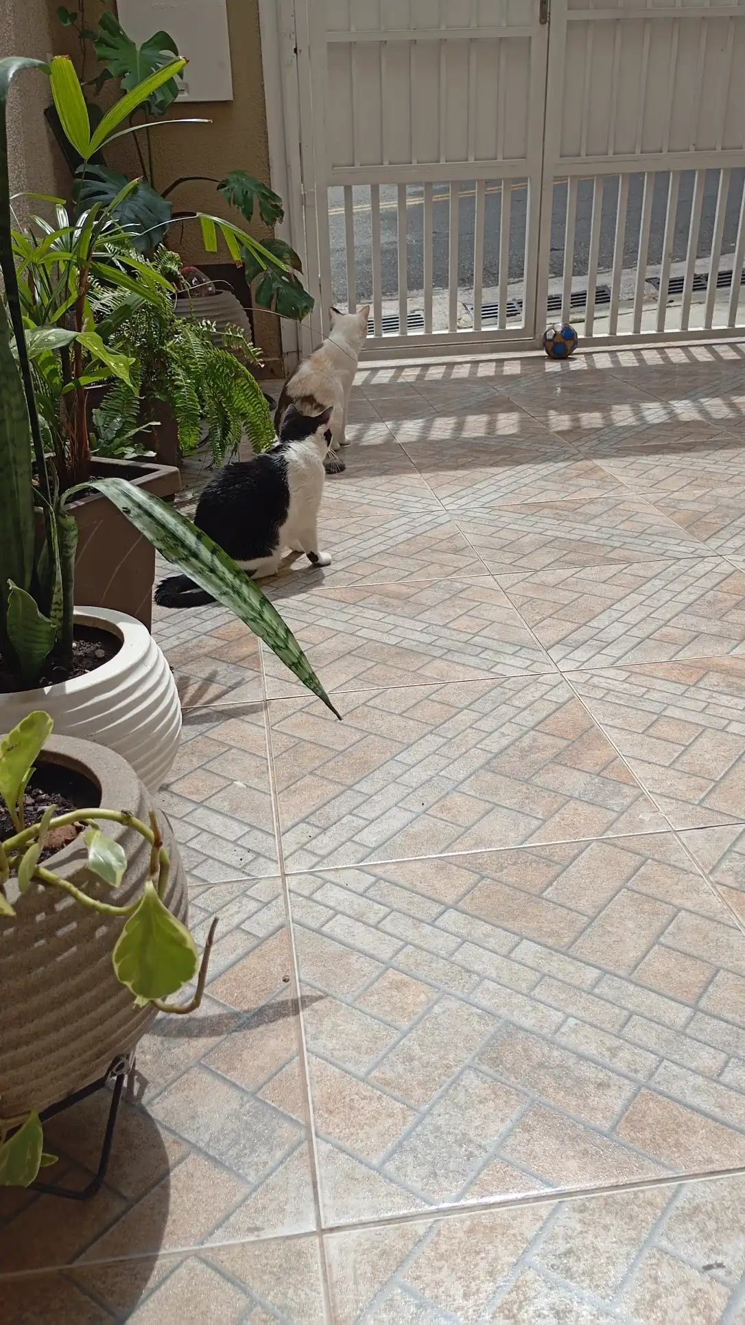 image-8