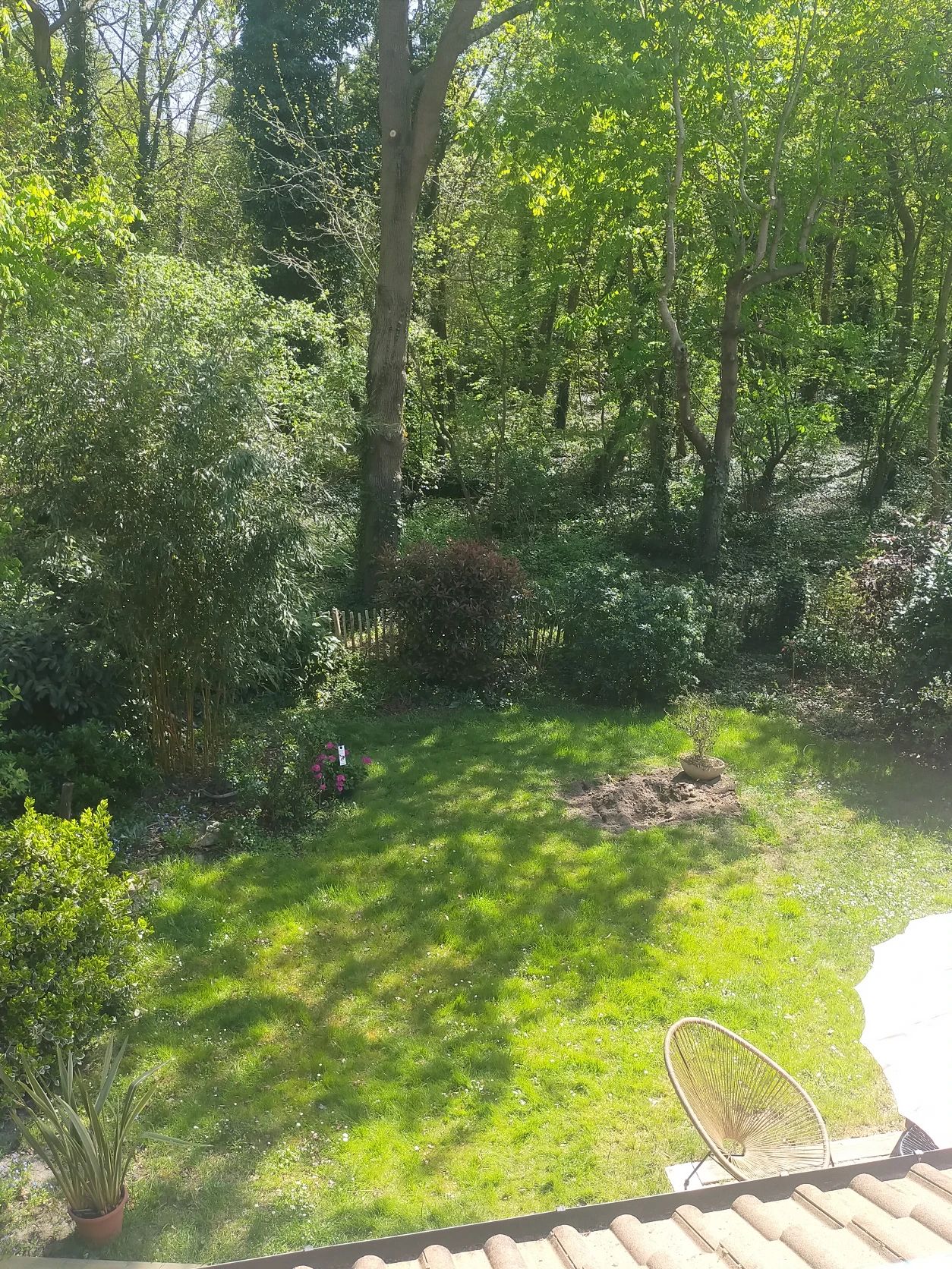 image-10
