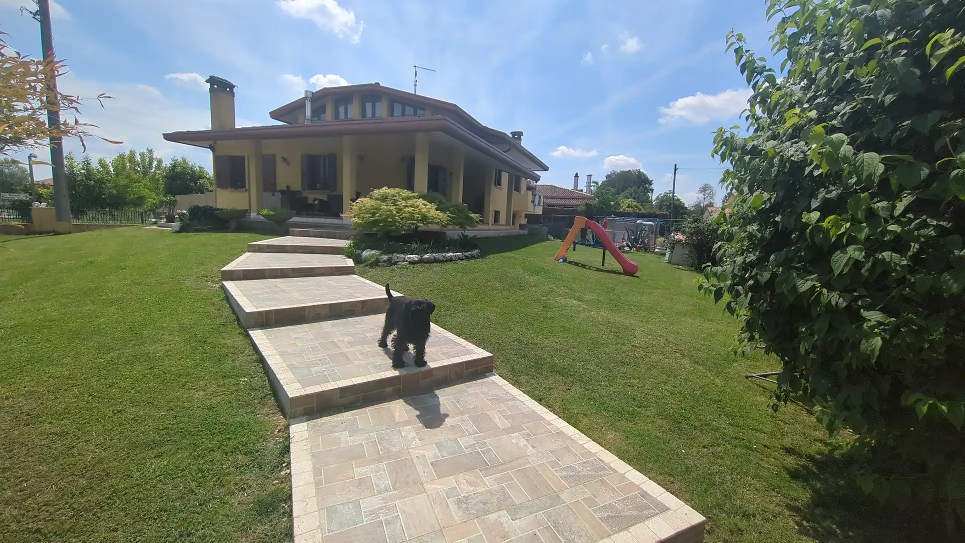 image-20