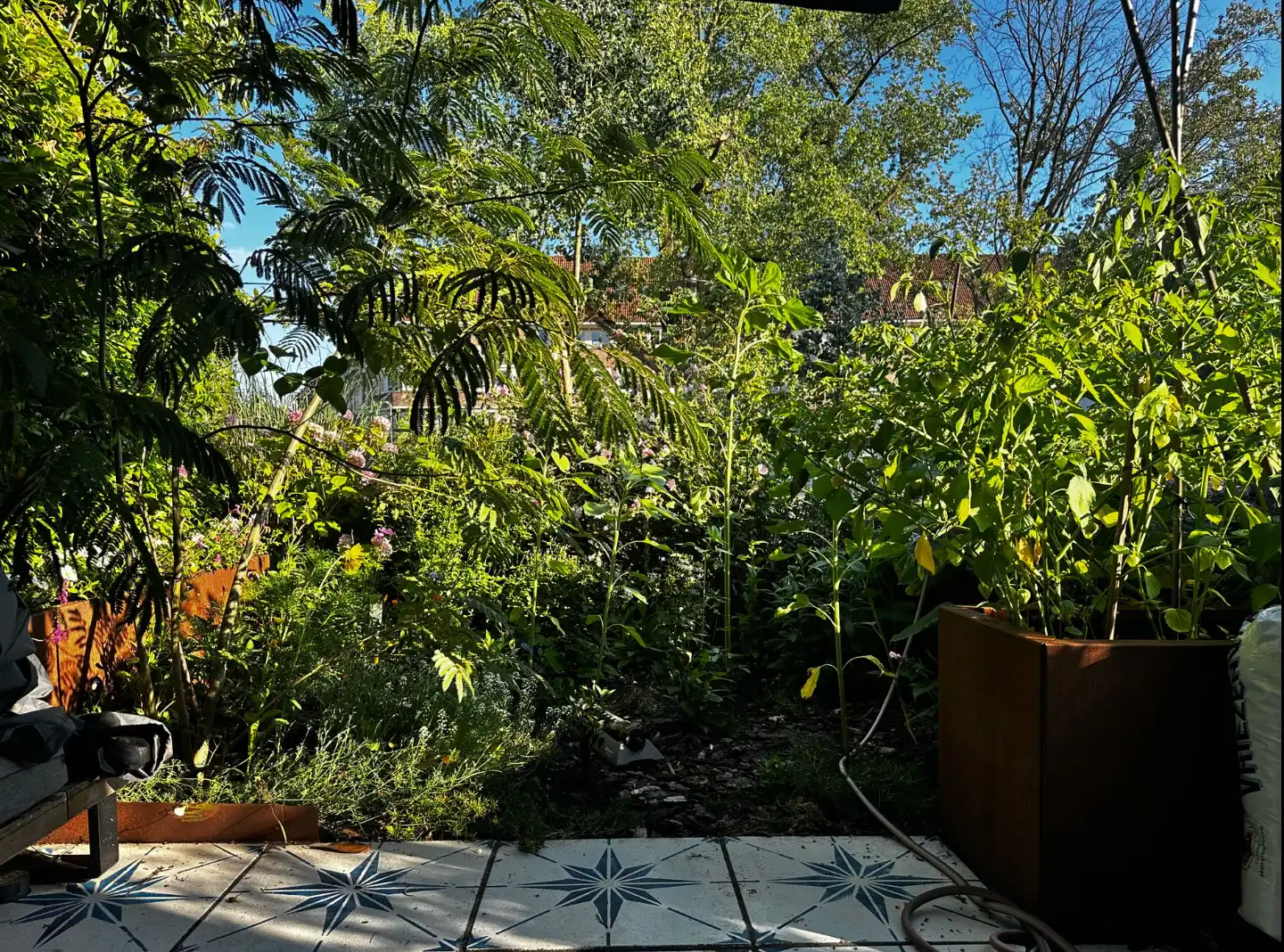 image-10