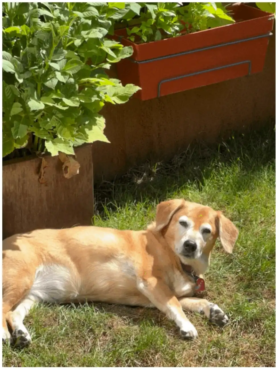 image-5