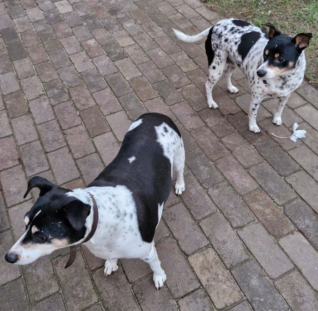 image-14