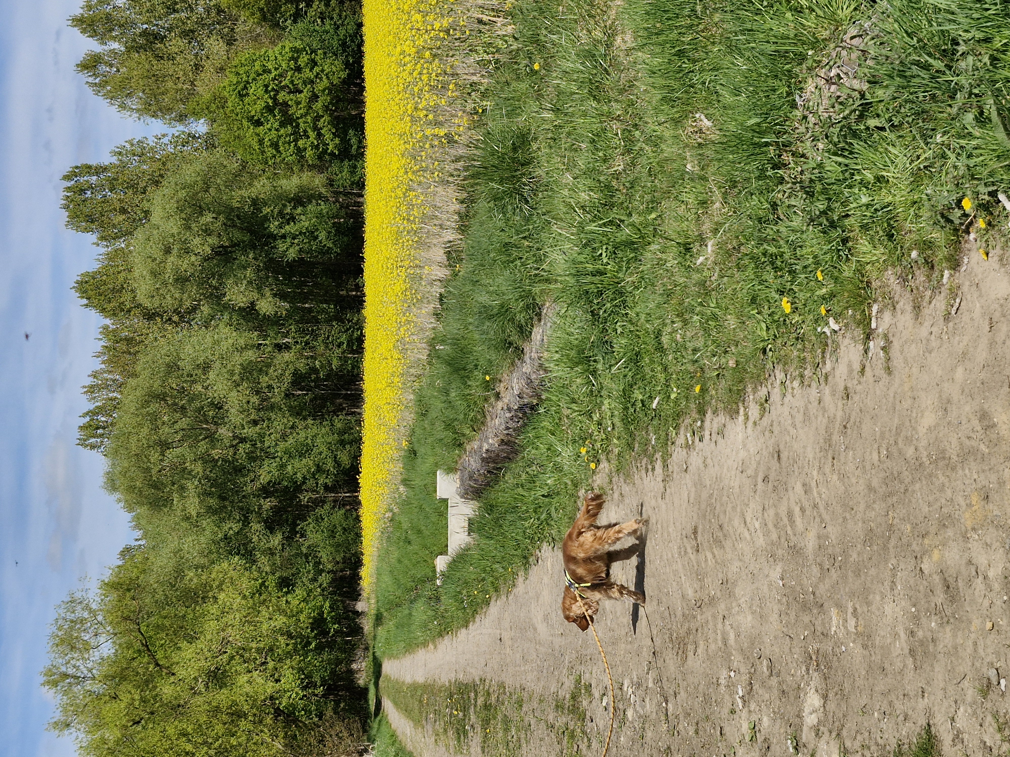 image-23