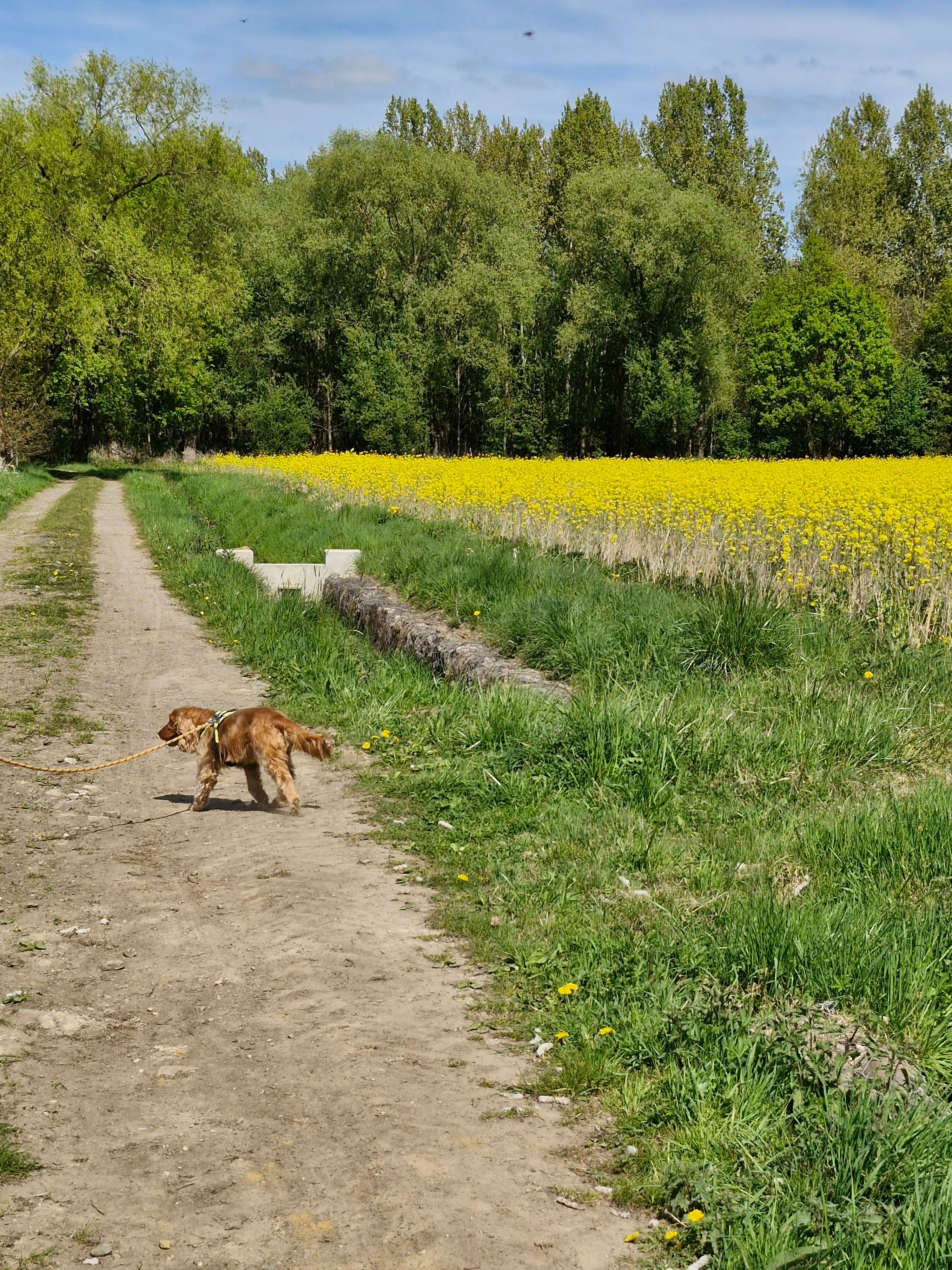 image-23