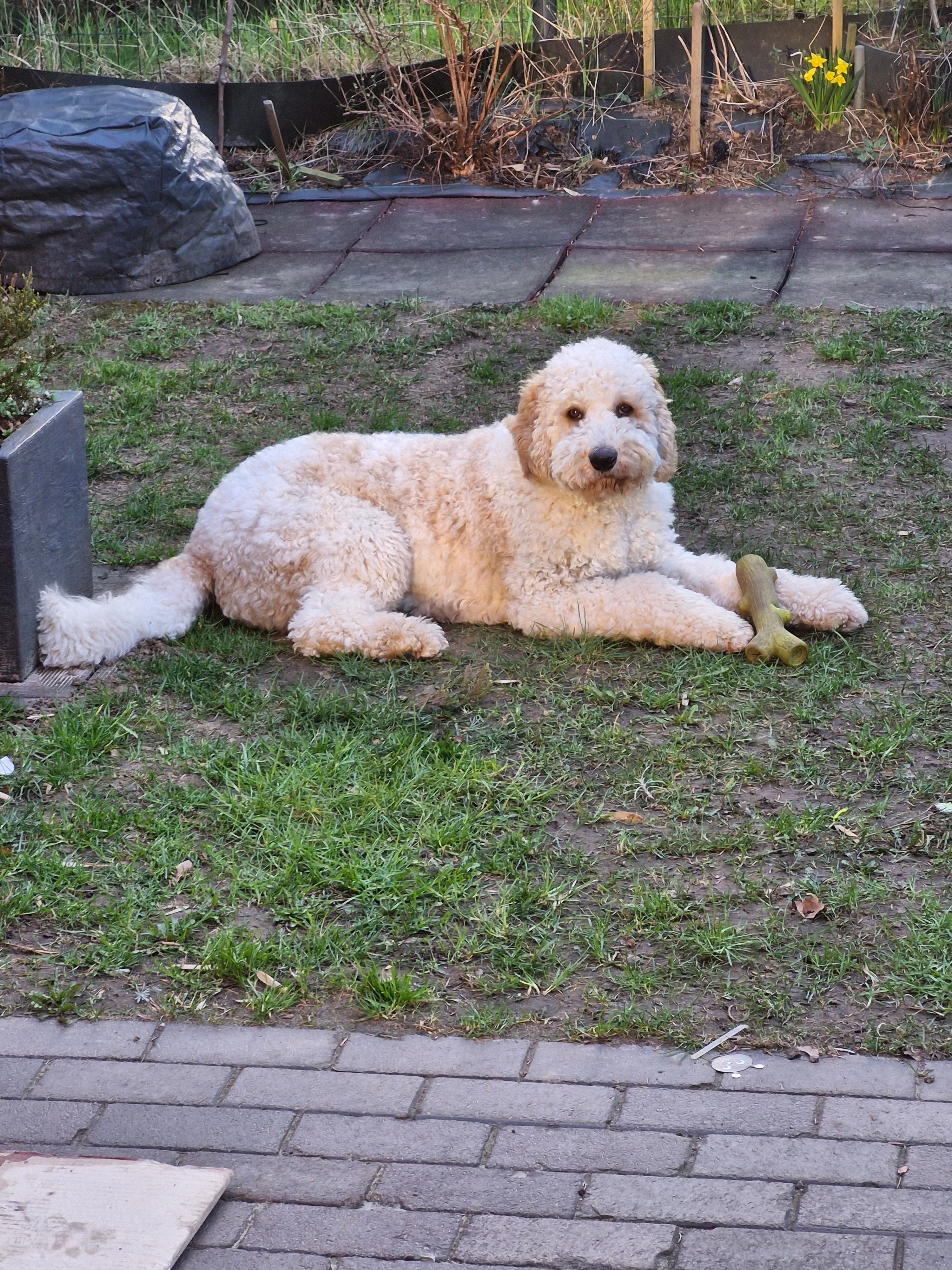 image-22
