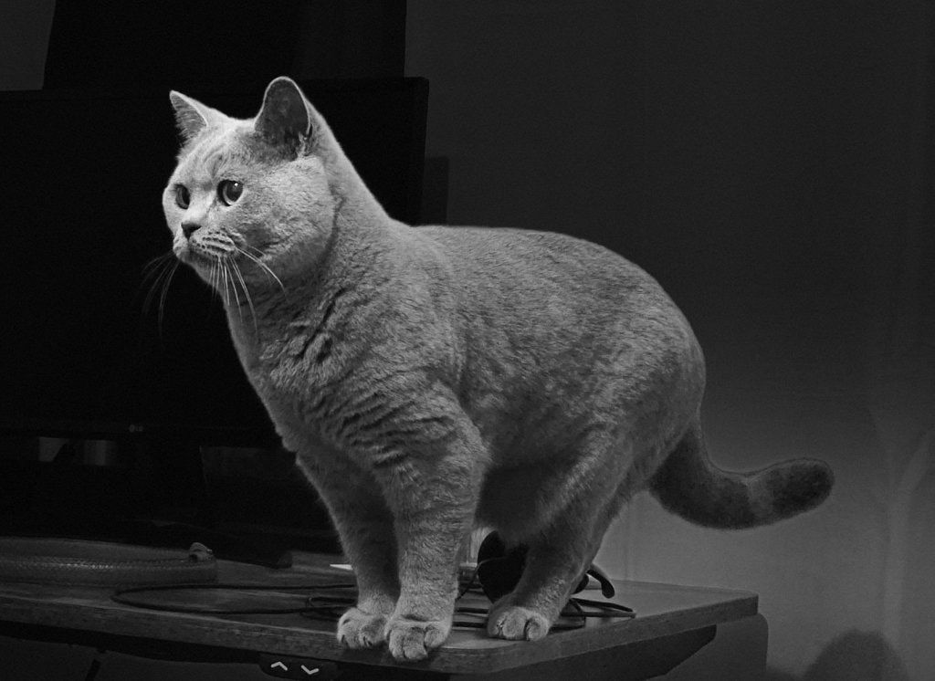 image-5