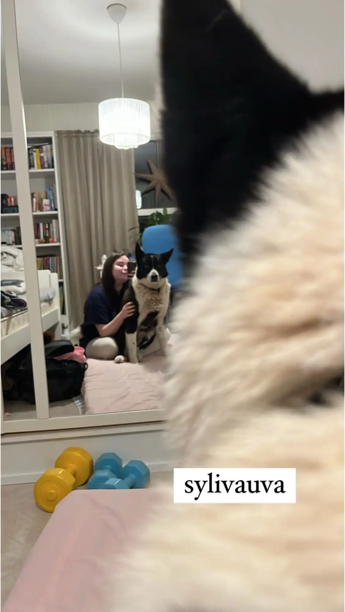 image-6