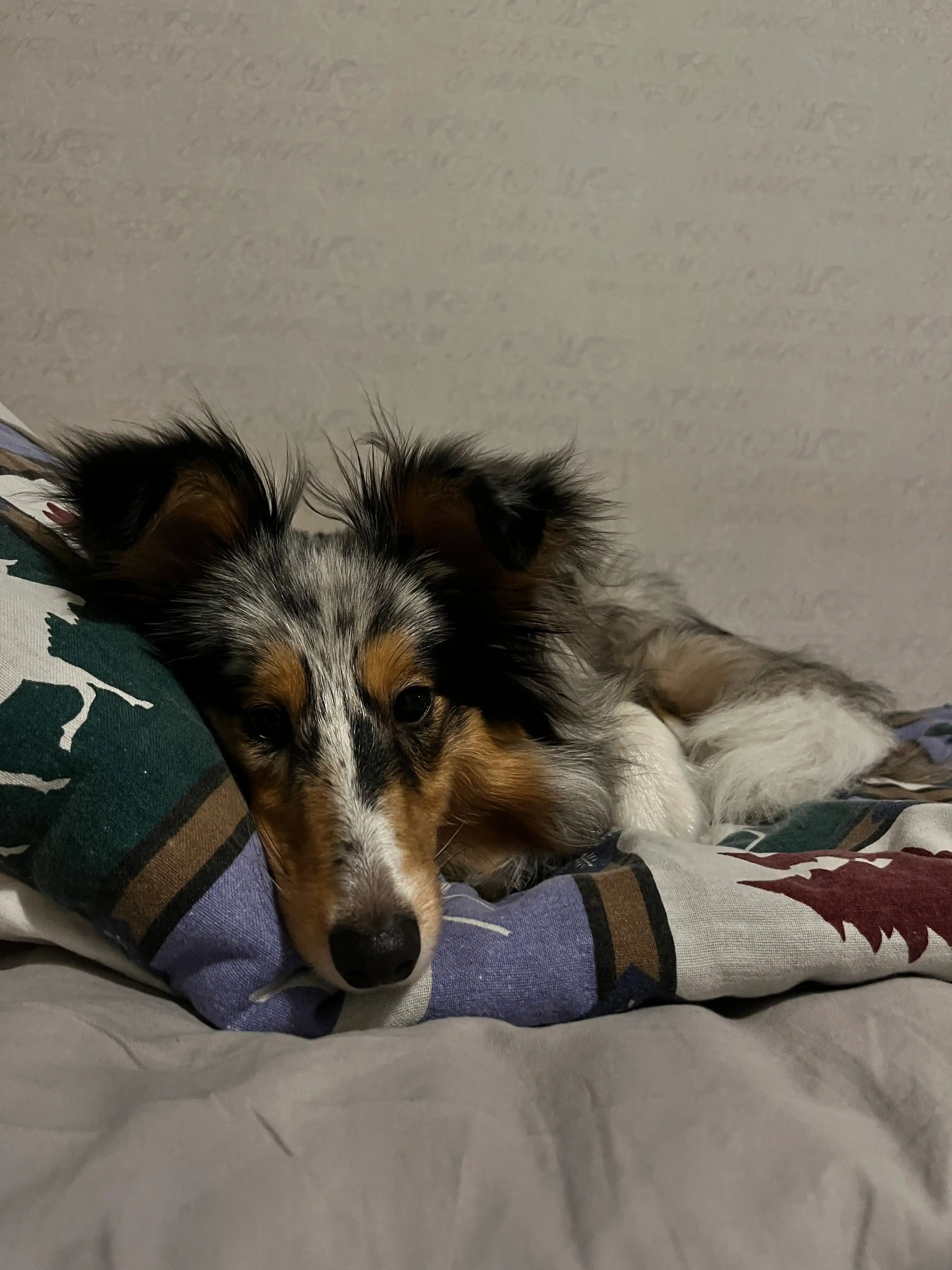 image-8