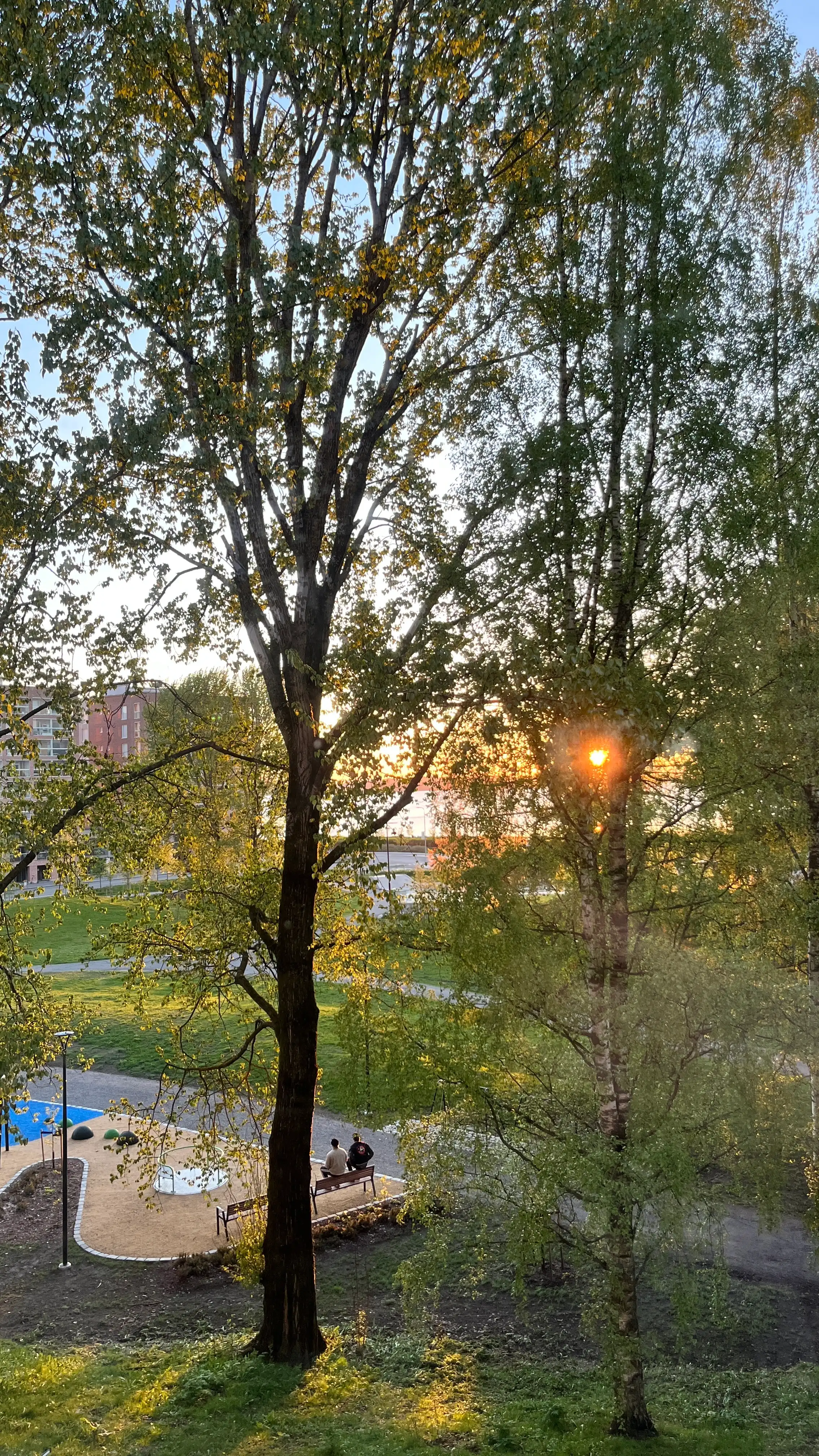 image-12