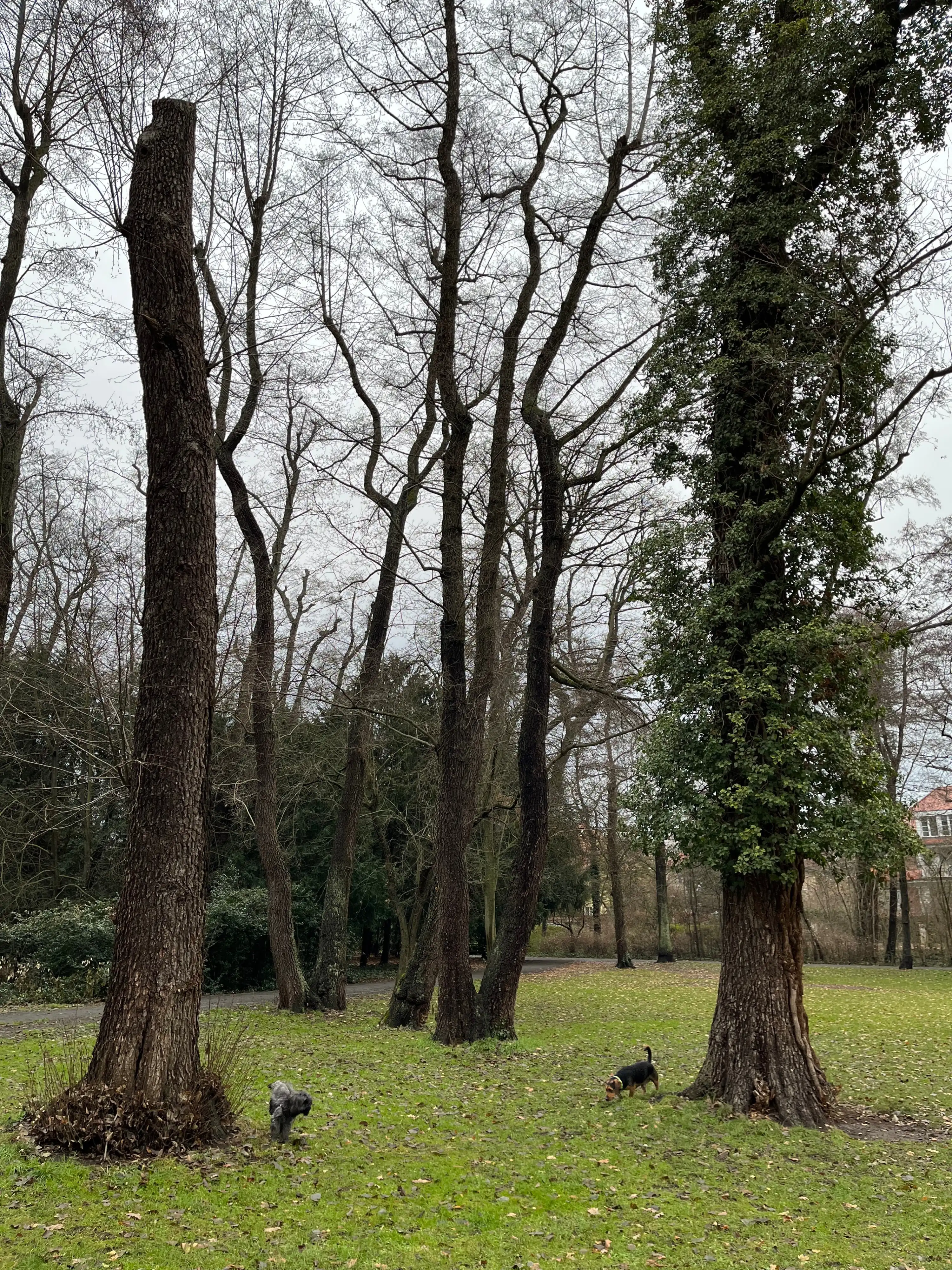 image-17