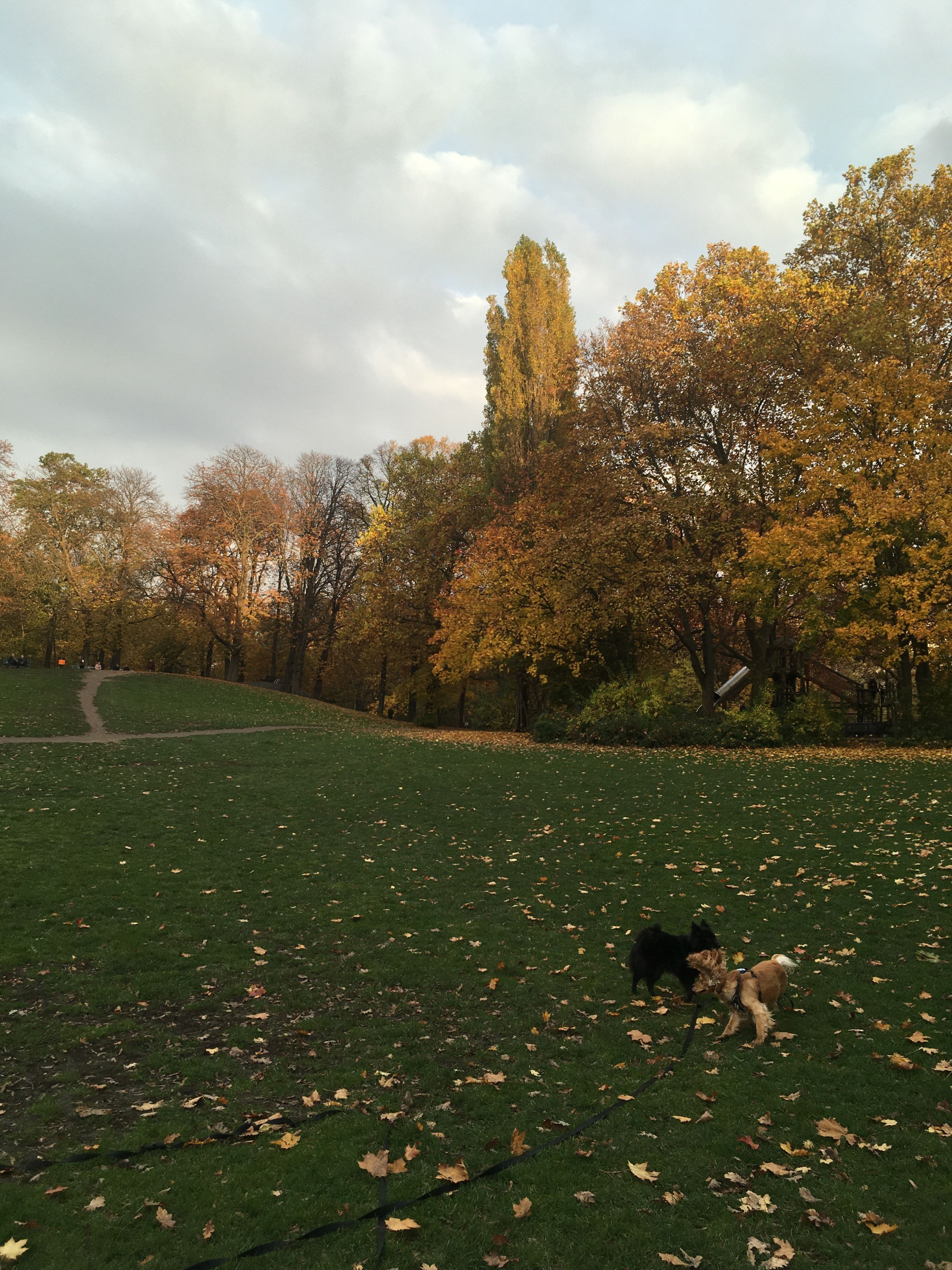 image-24