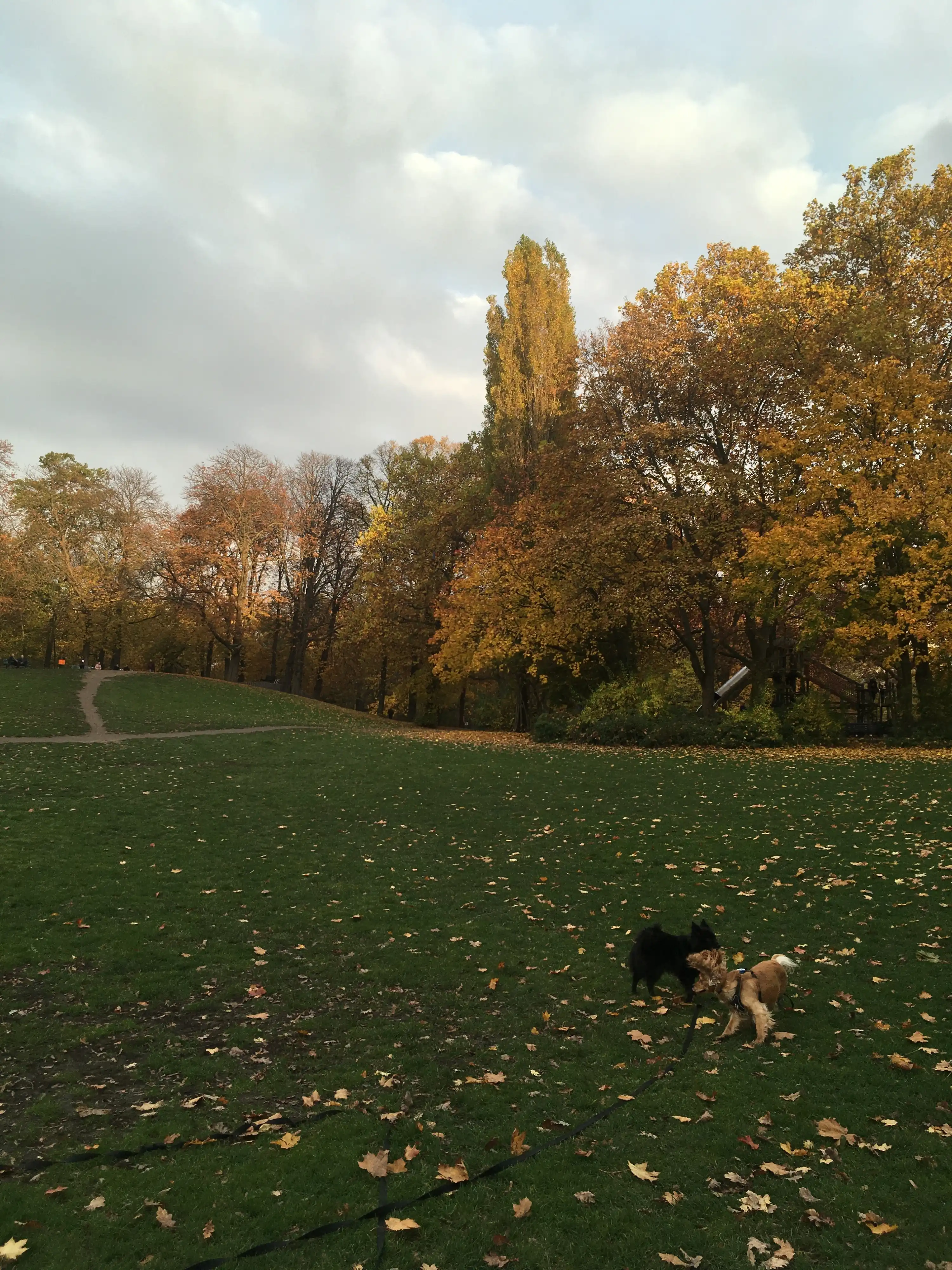 image-24