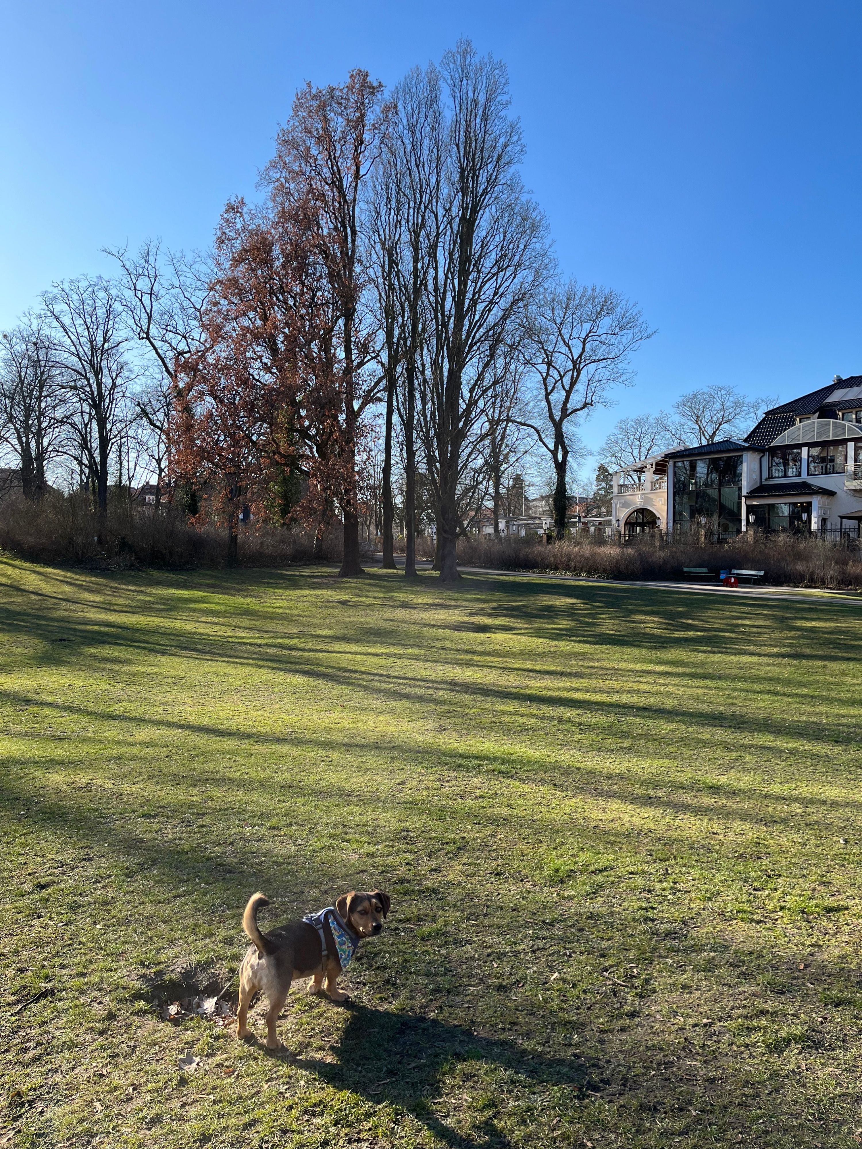 image-18