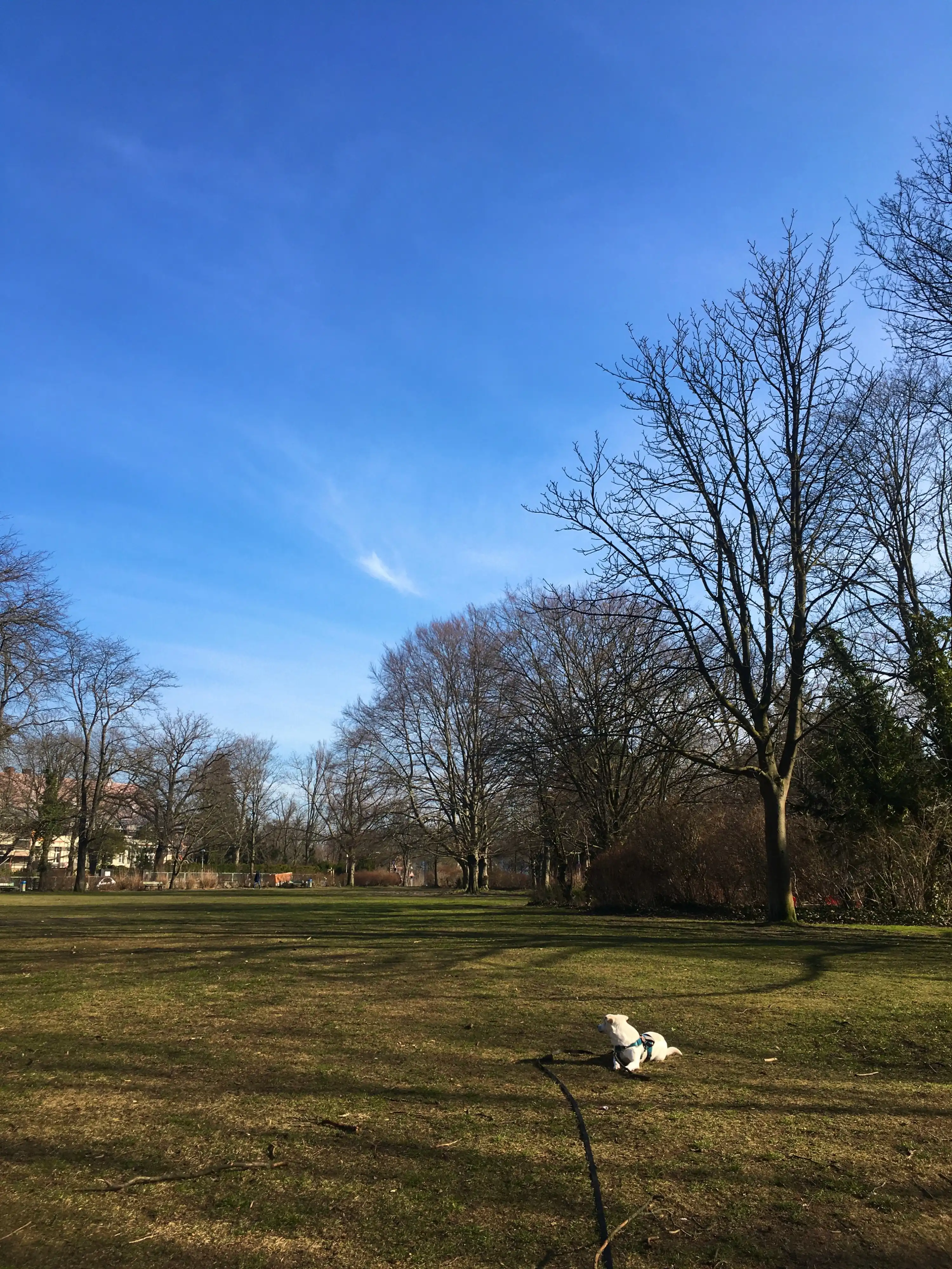image-21