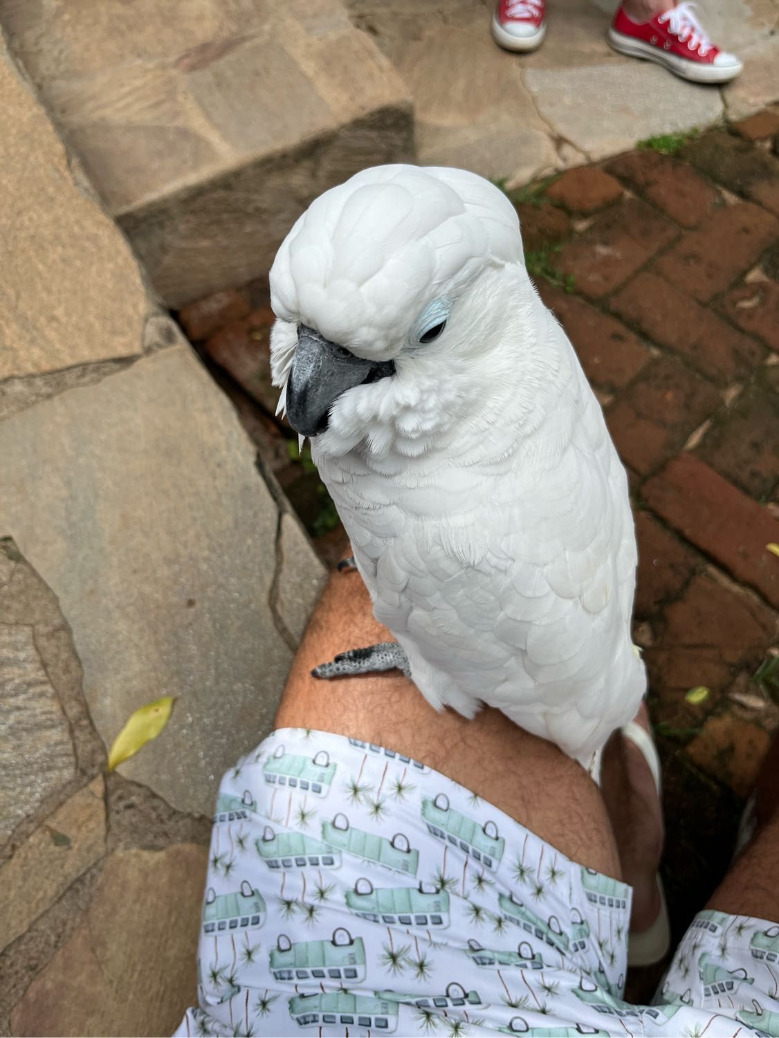 image-7