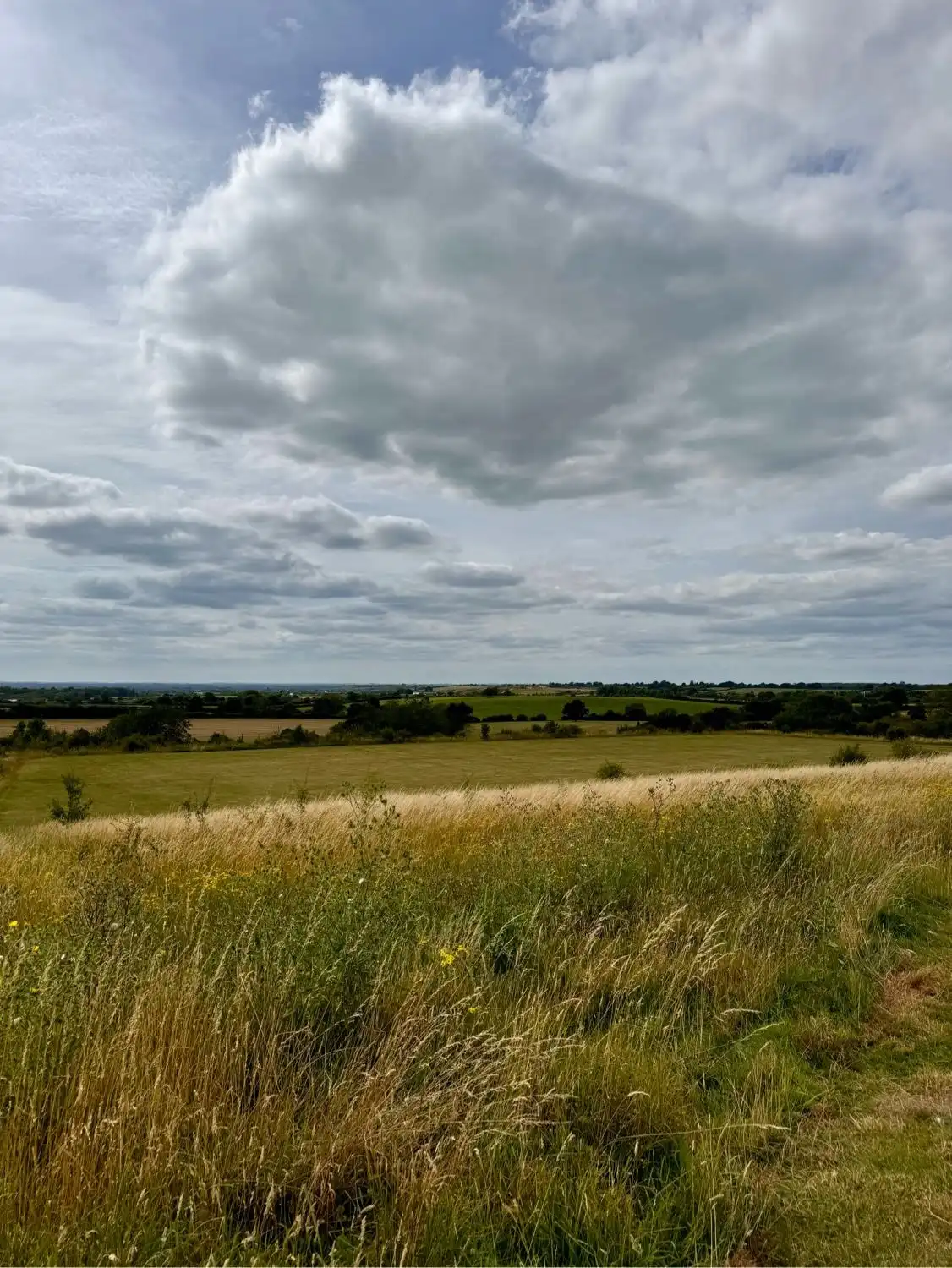 image-20