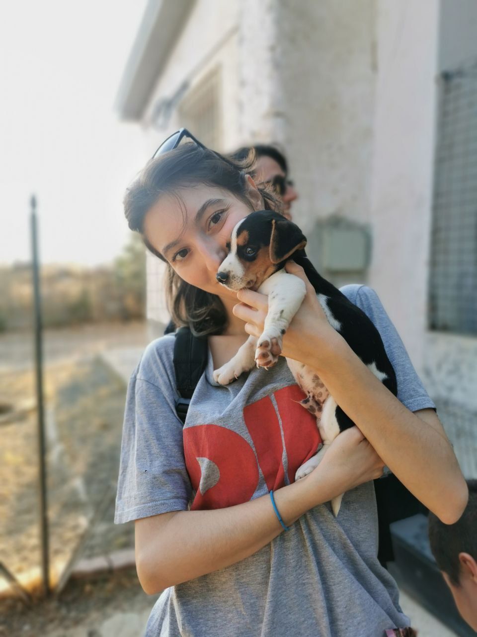 image-6