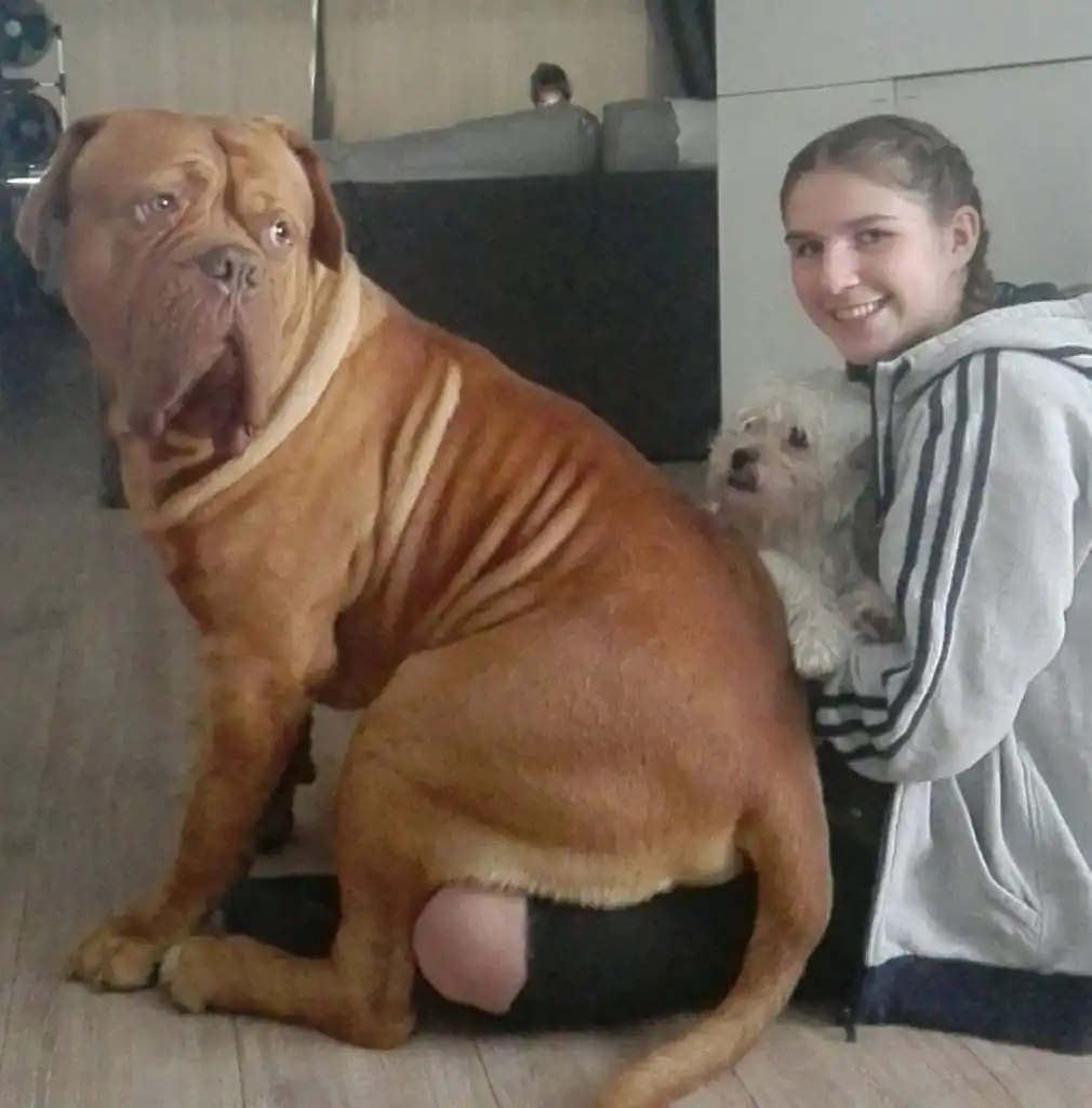 image-8