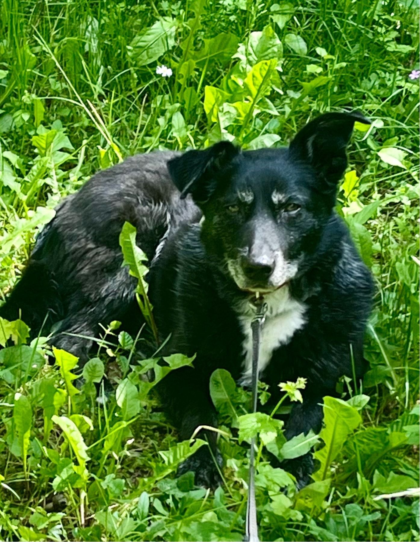 image-5