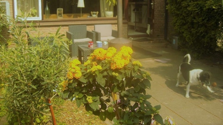 image-2