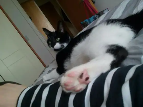 image-6