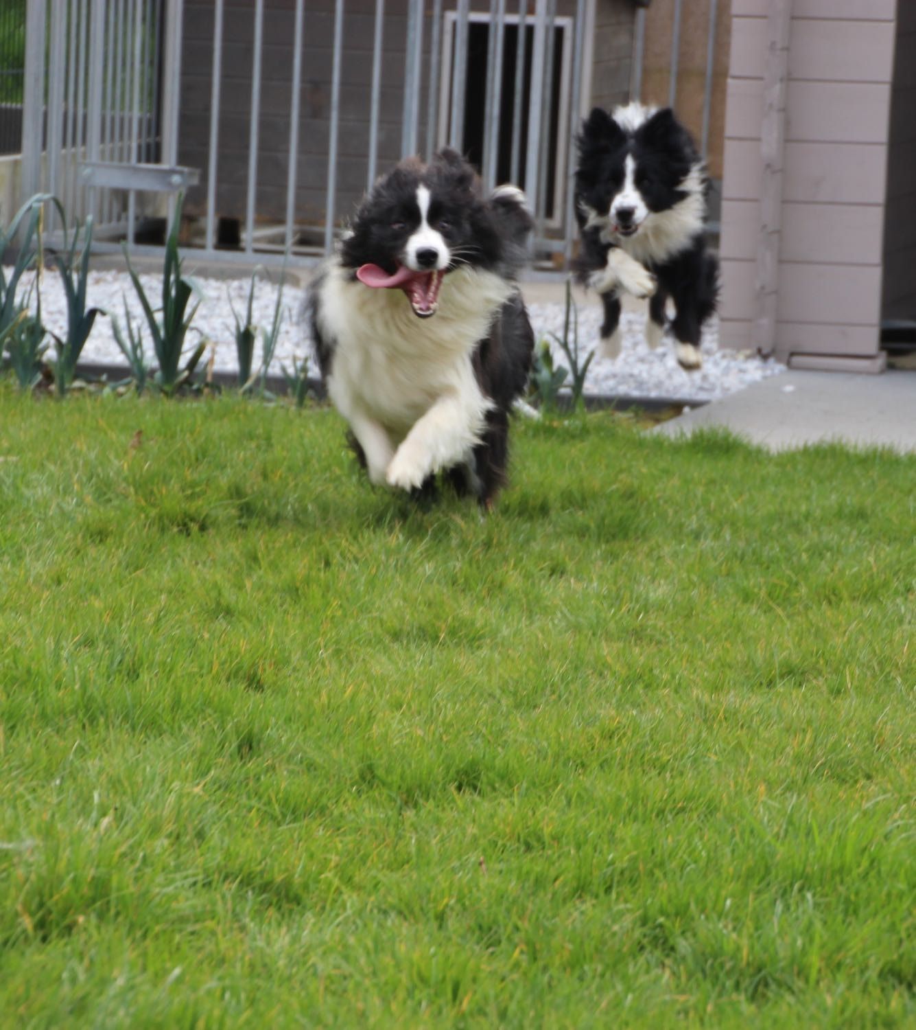 image-7