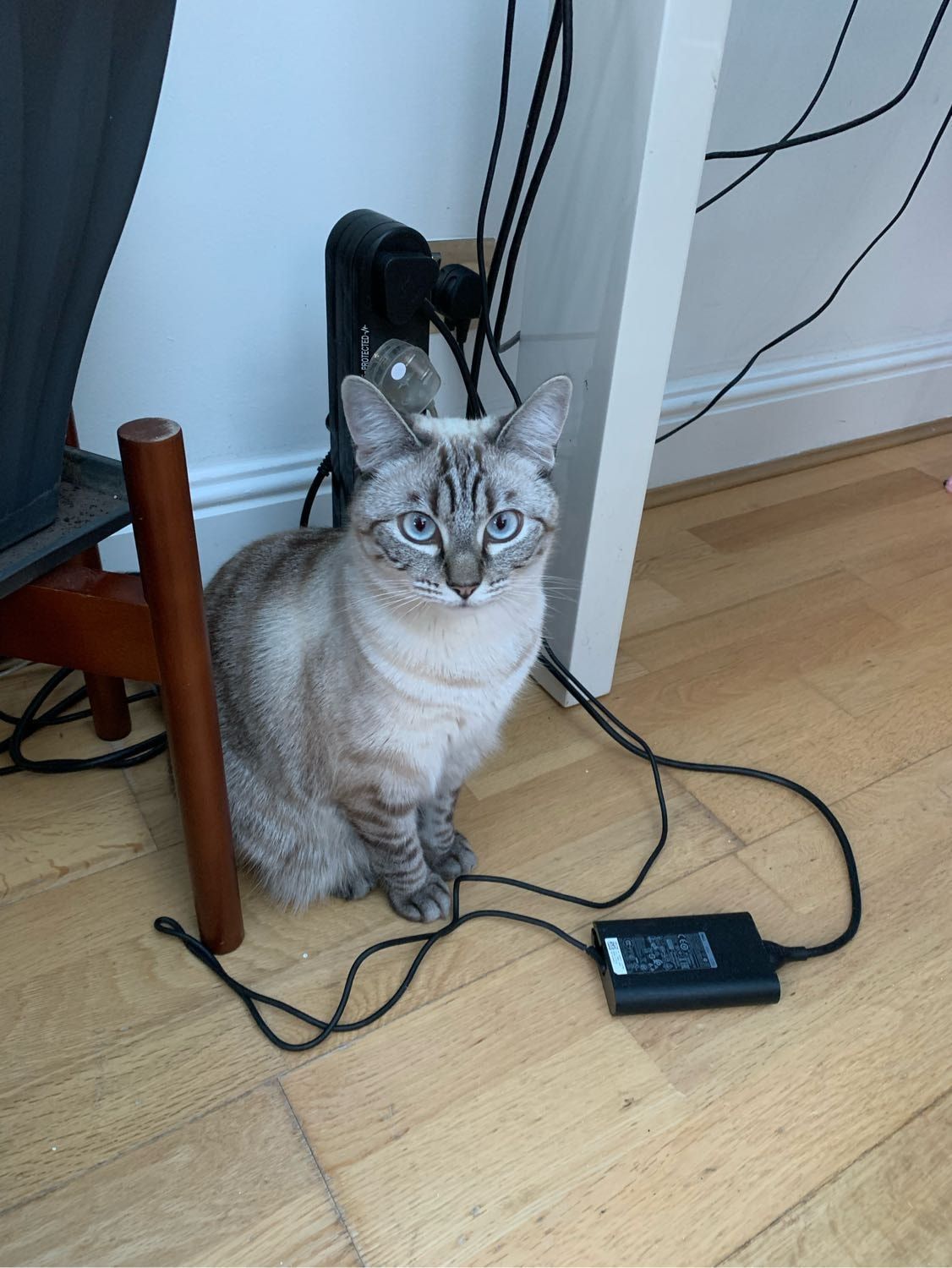 image-4