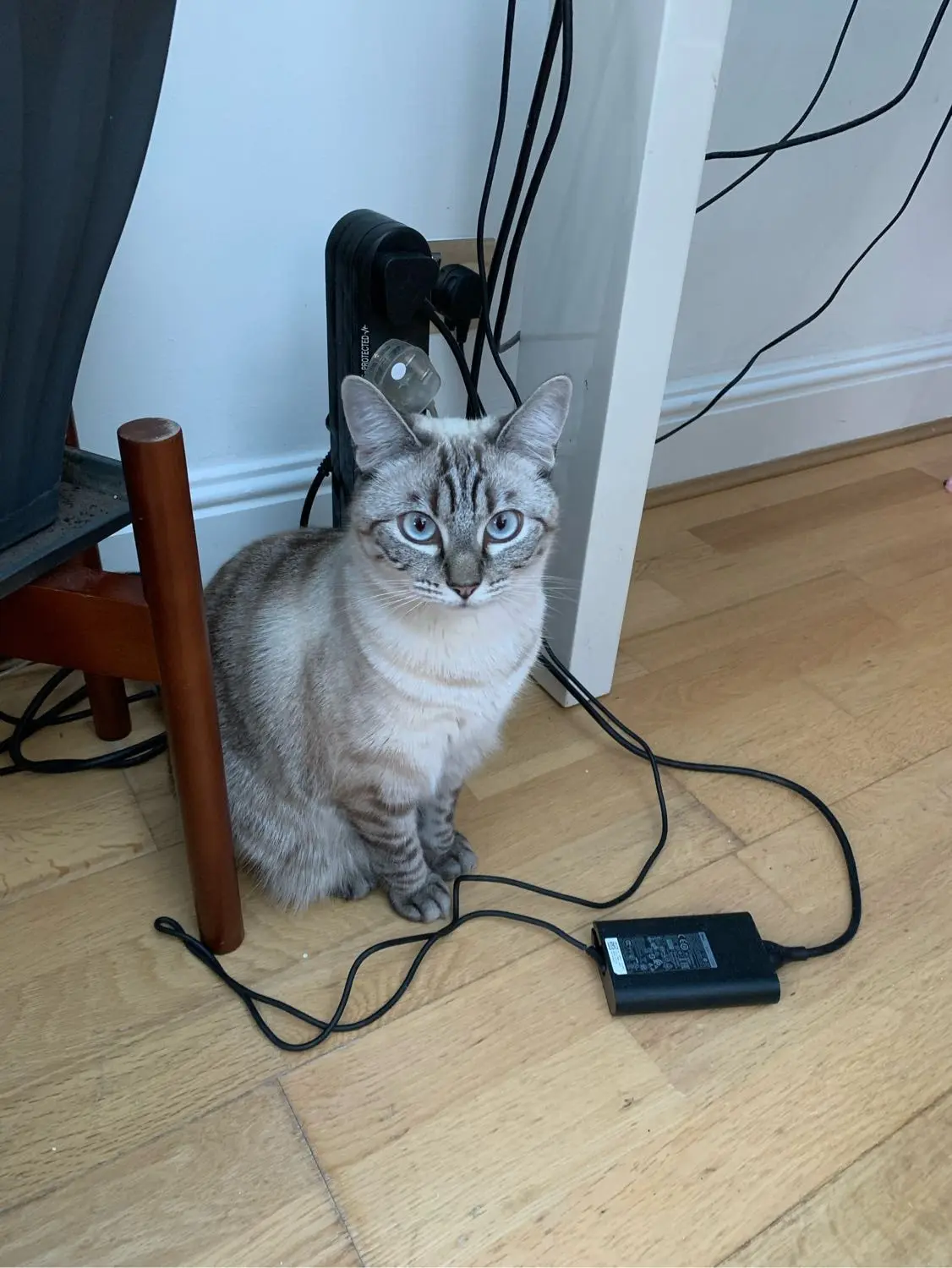 image-4