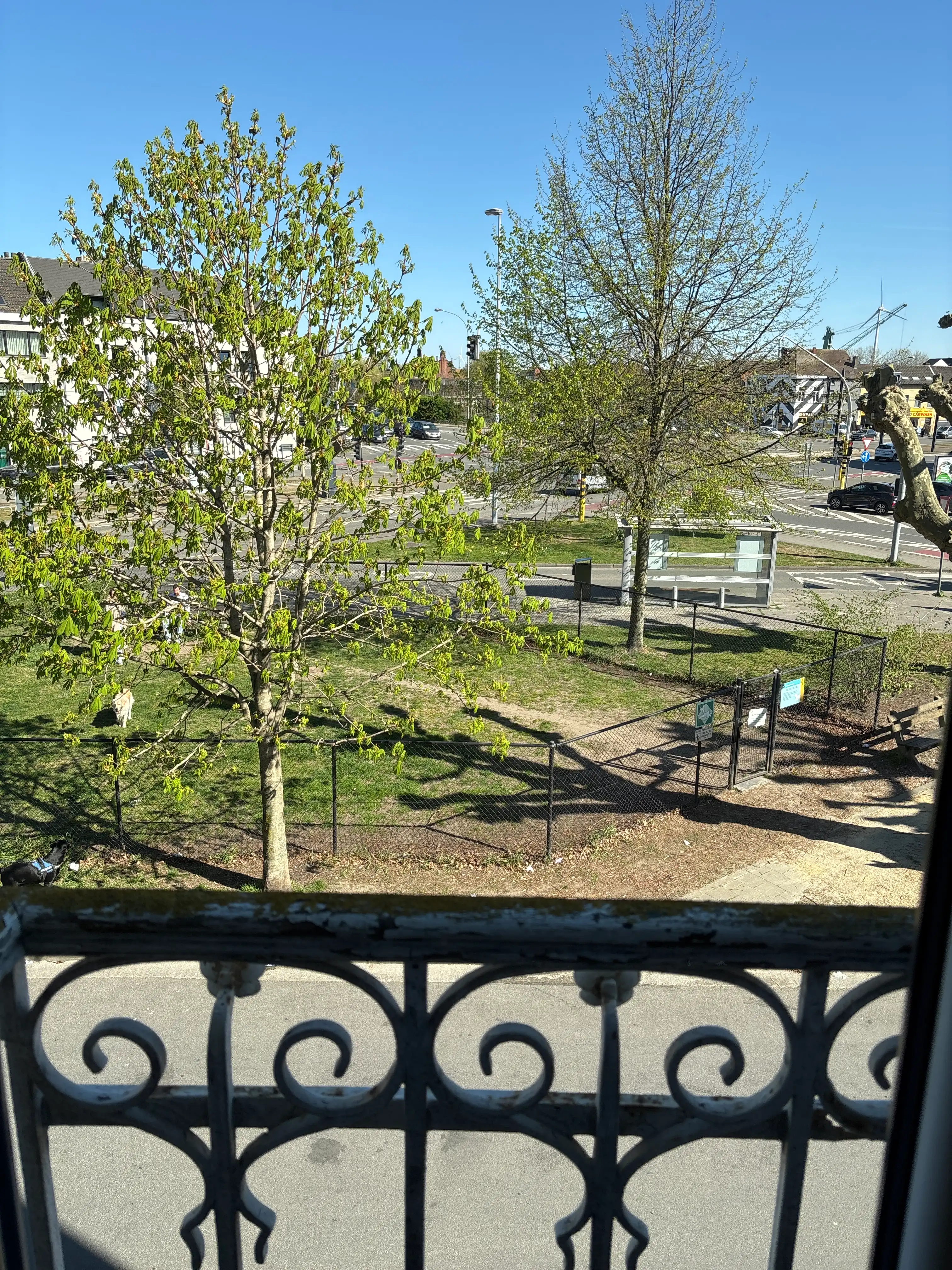 image-12