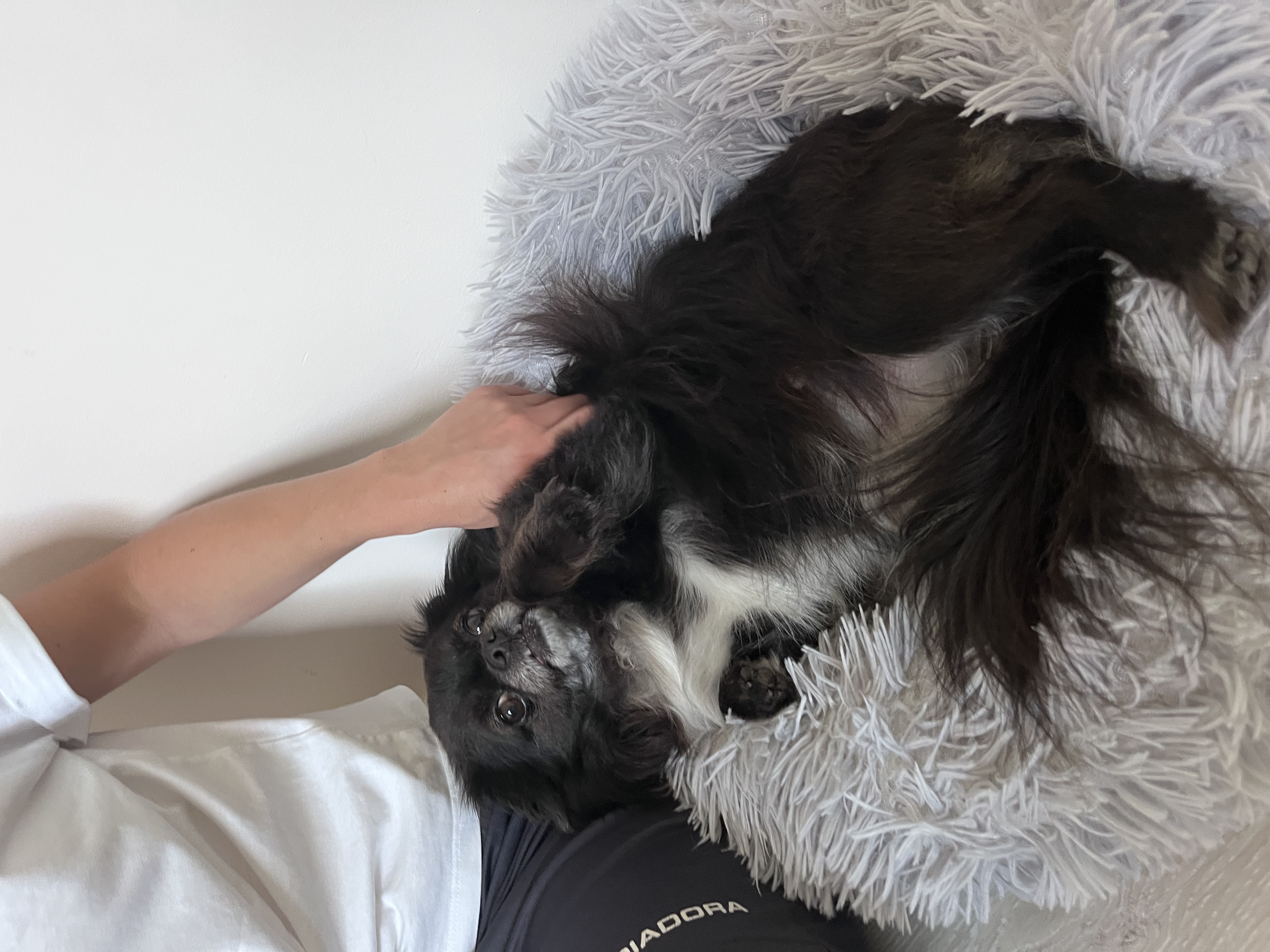 image-9
