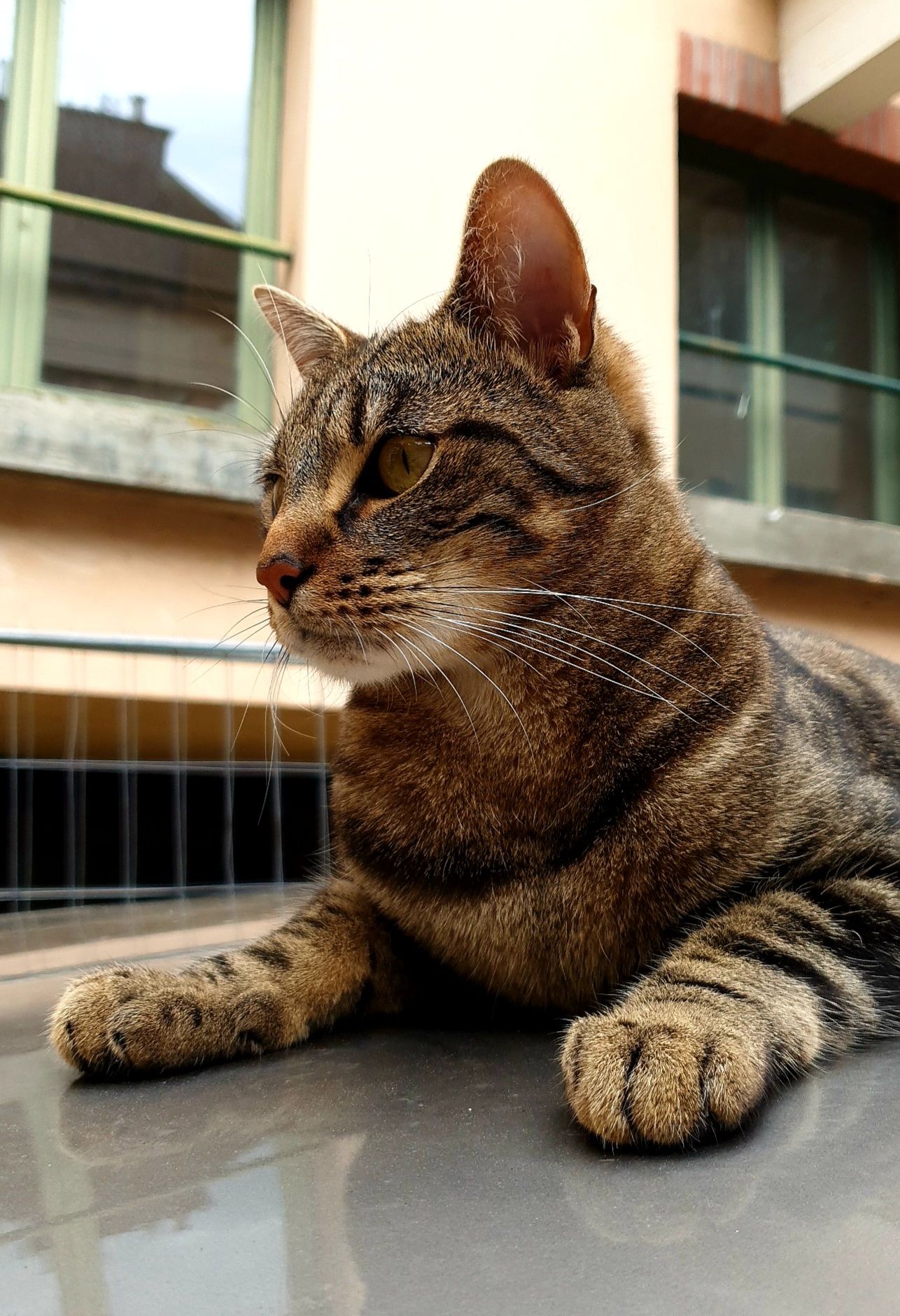 image-5