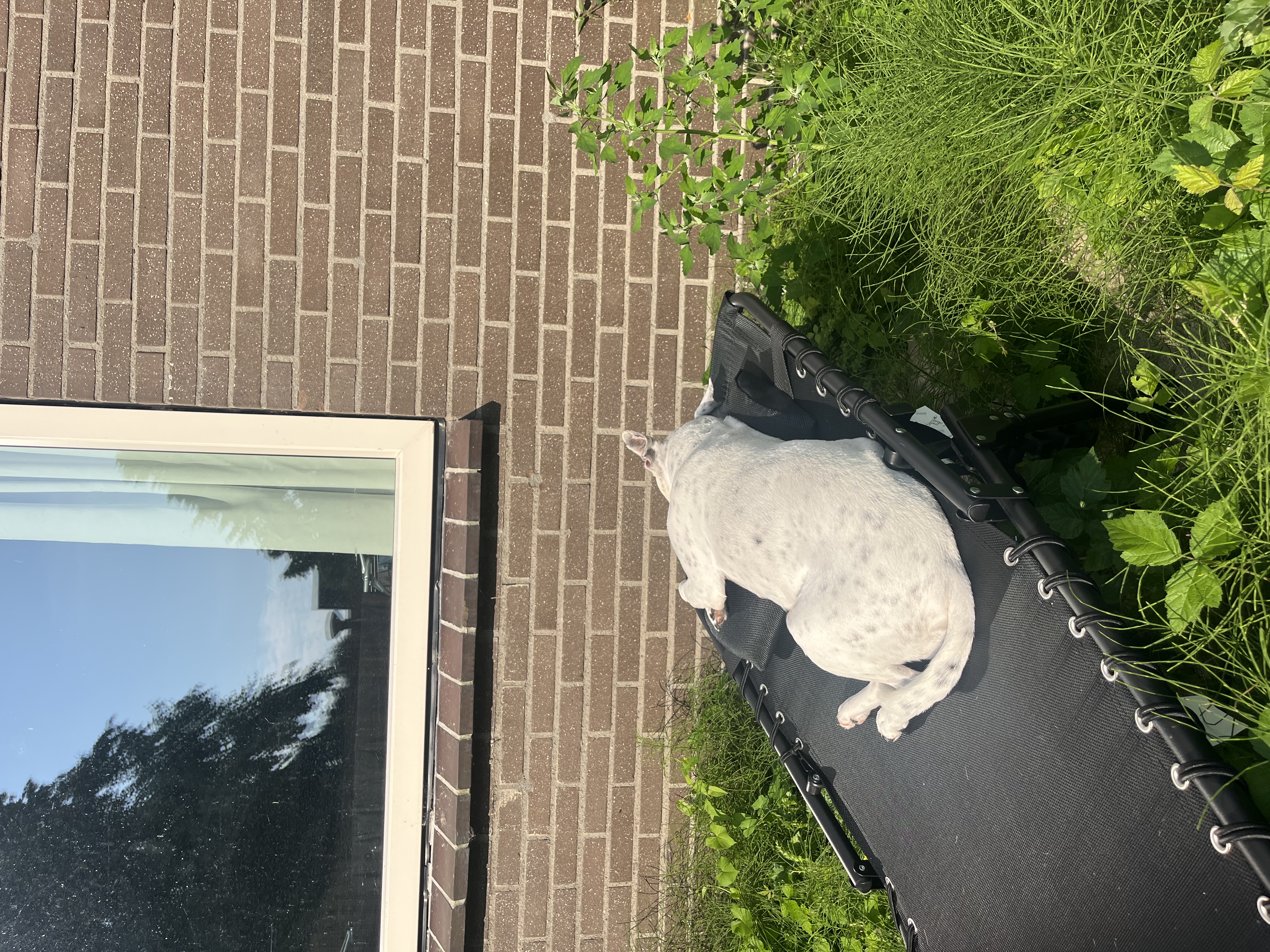 image-13