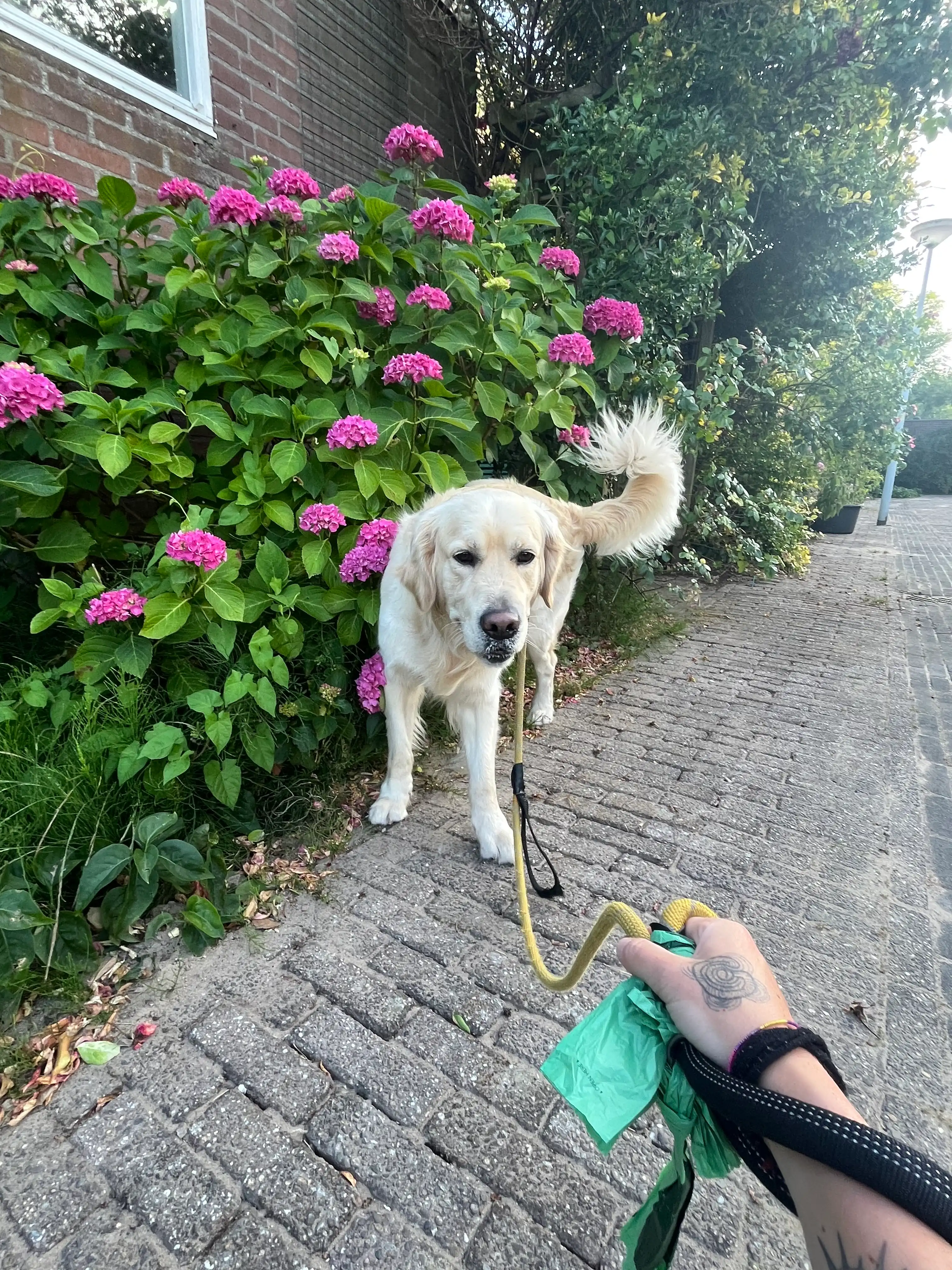 image-5