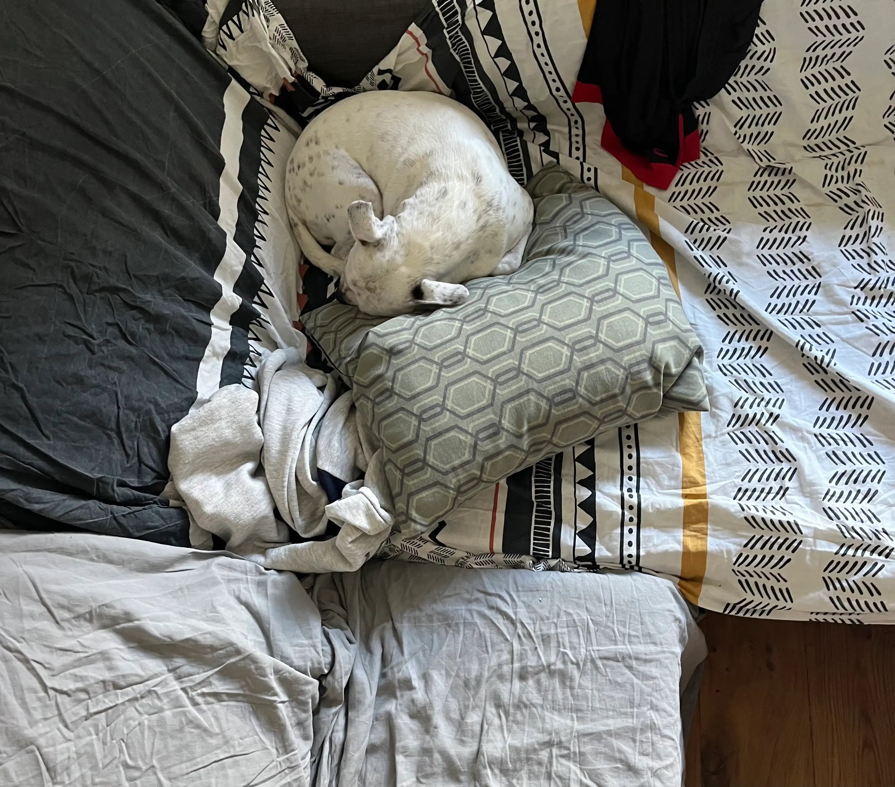 image-14