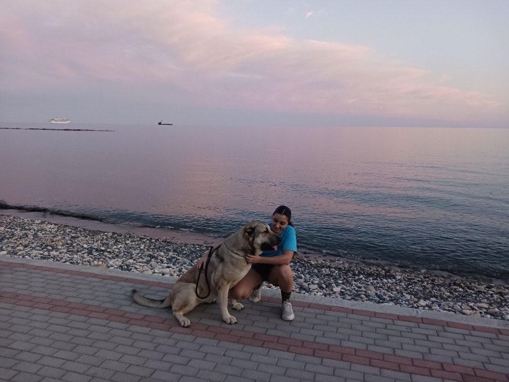 image-2