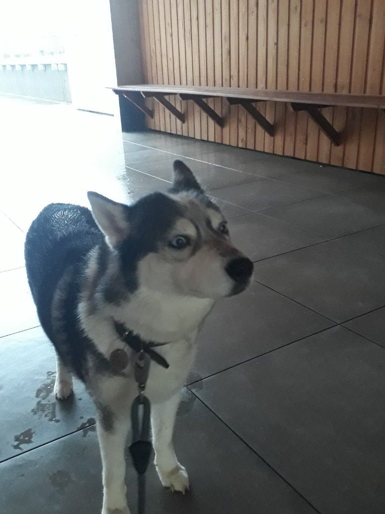 image-21