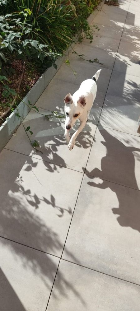 image-8
